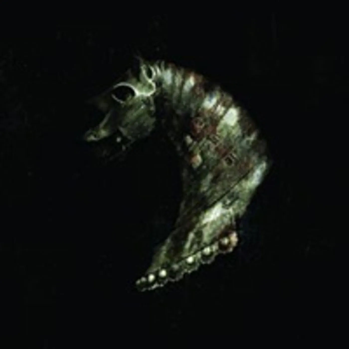 Black Math Horseman Wyllt Vinyl Record