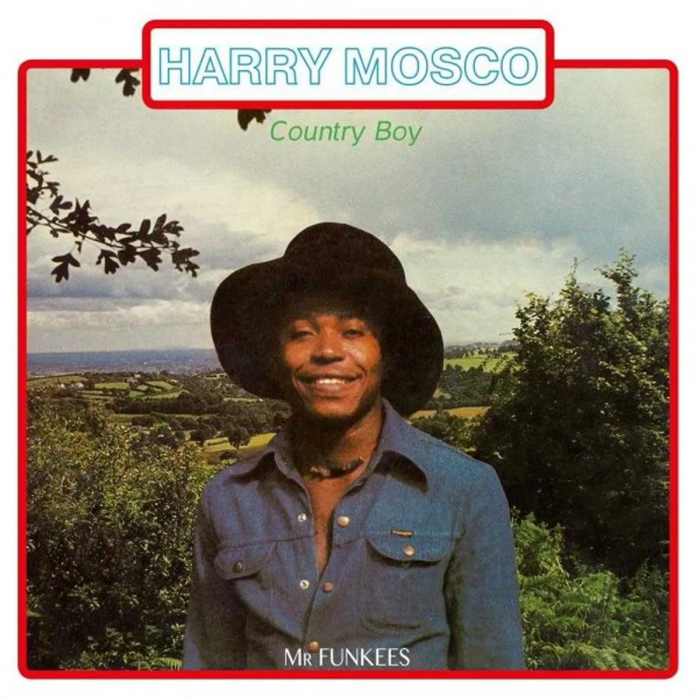Harry Mosco Country Boy (Mr. Funkees) Vinyl Record