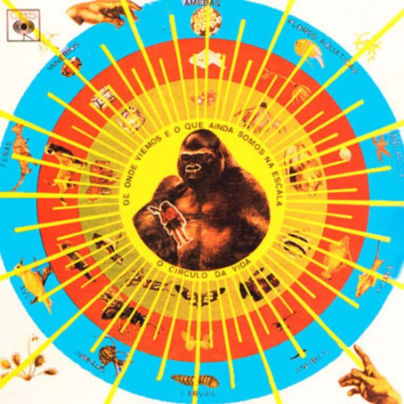 Pedro Santos KRISHNANDA Vinyl Record