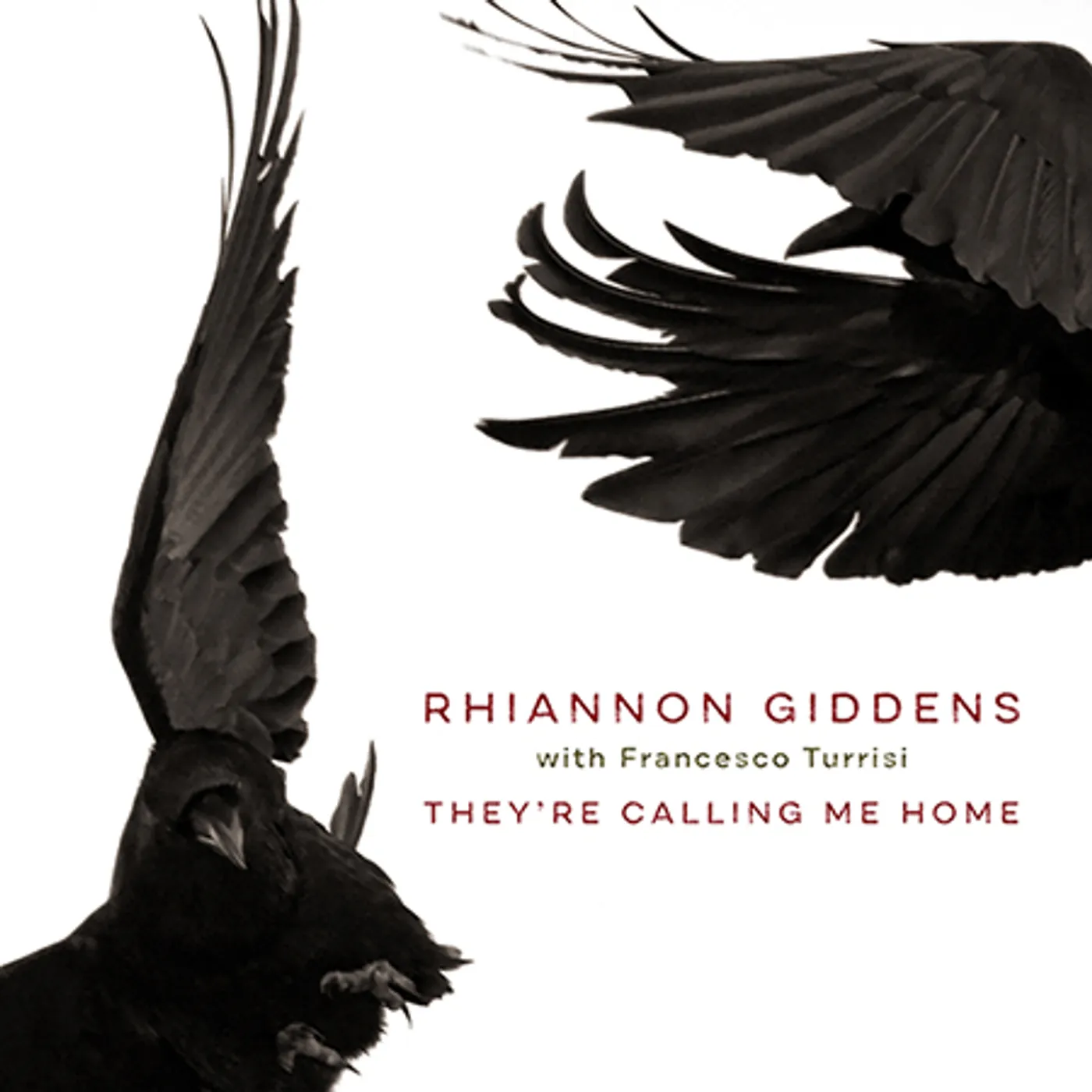 Rhiannon Giddens THEY'RE CALLING ME HOME Vinyl Record