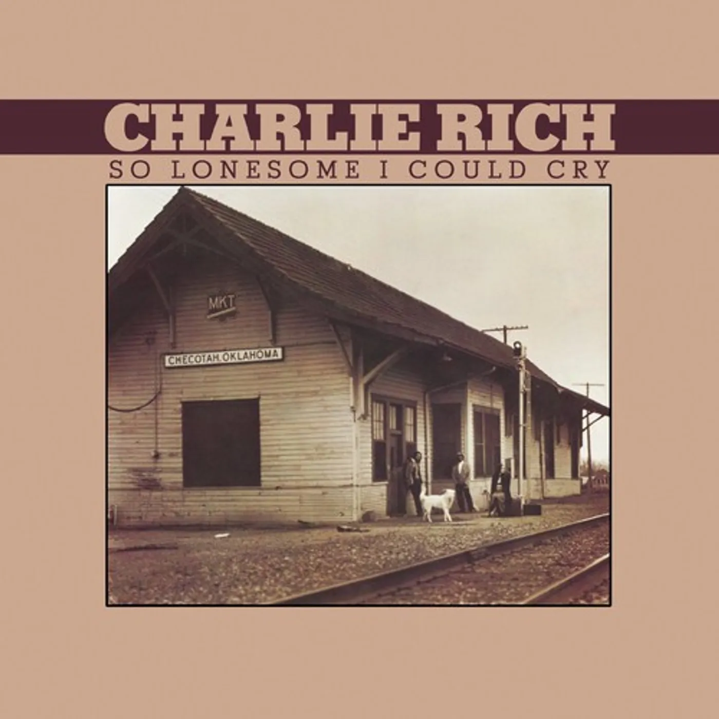 Charlie Rich So Lonesome I Could Cry Vinyl Record