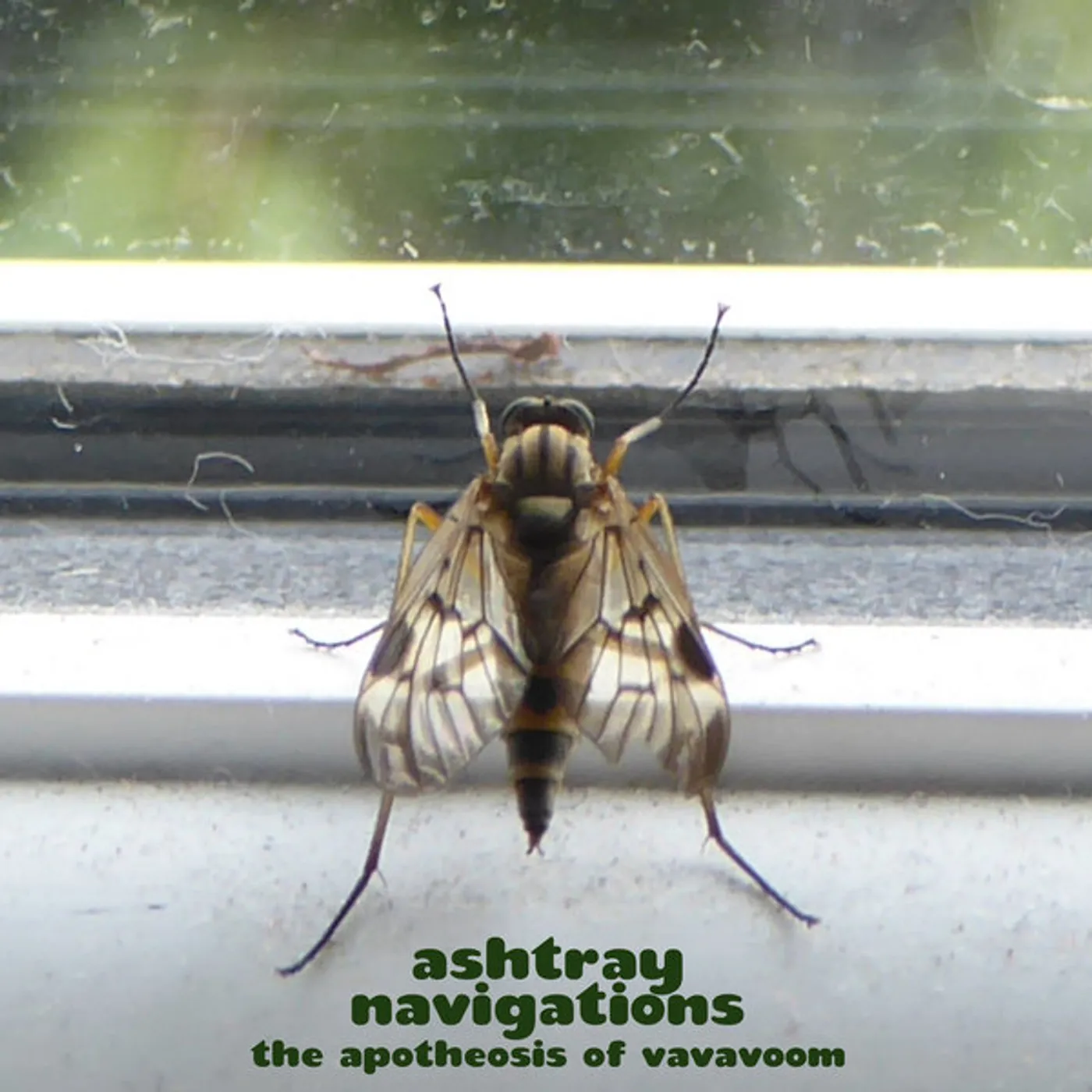 Ashtray Navigations APOTHEOSIS OF VAVAVOOM Vinyl Record