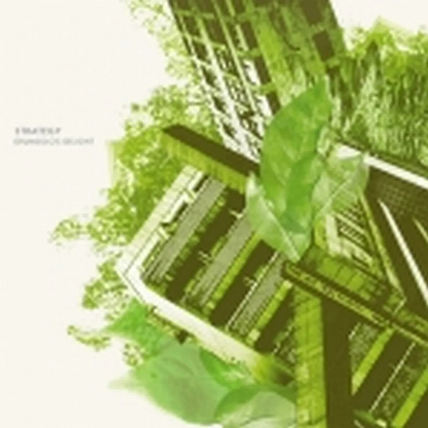 Strategy DRUMSOLO'S DELIGHT CD