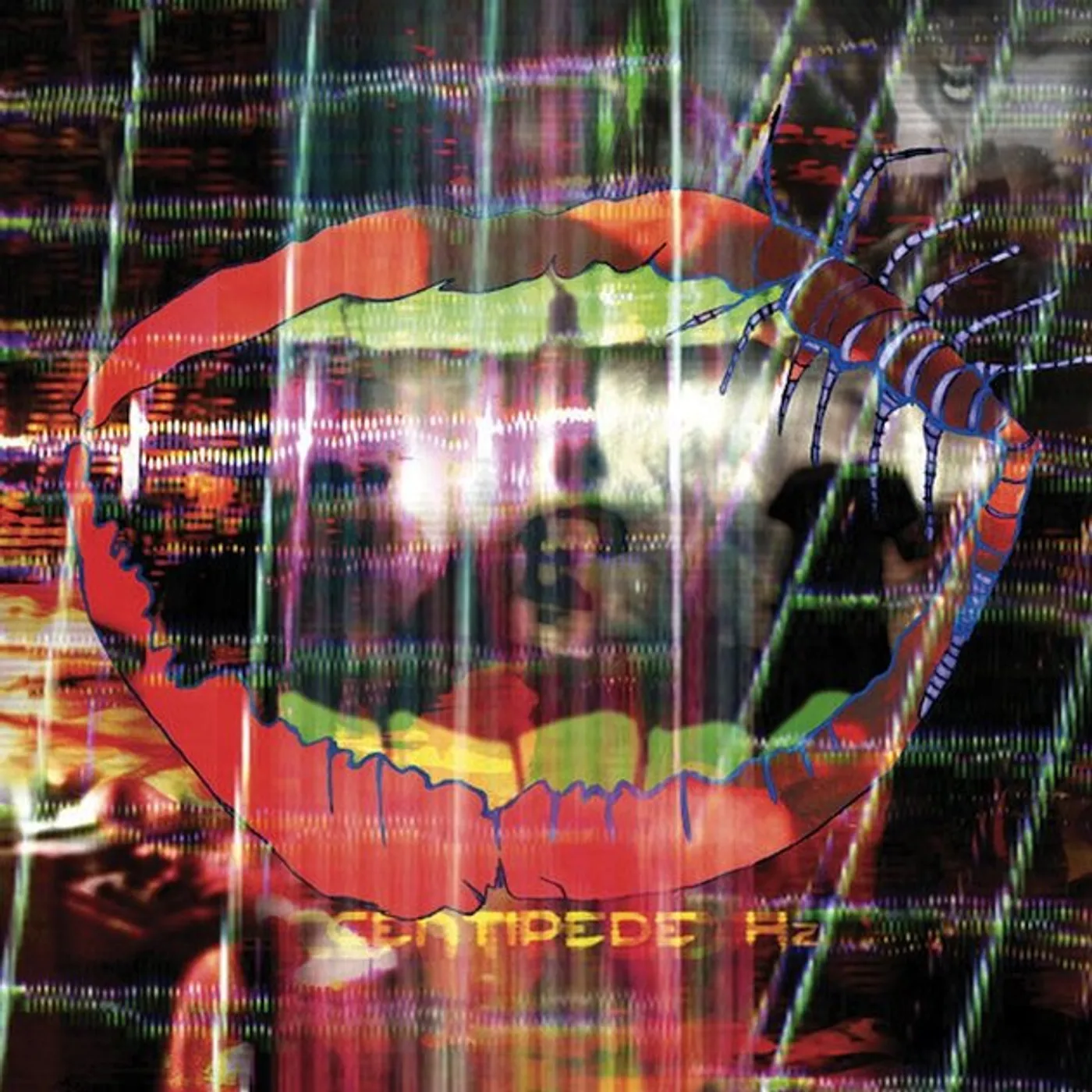 Animal Collective Centipede HZ (DL Card) Vinyl Record