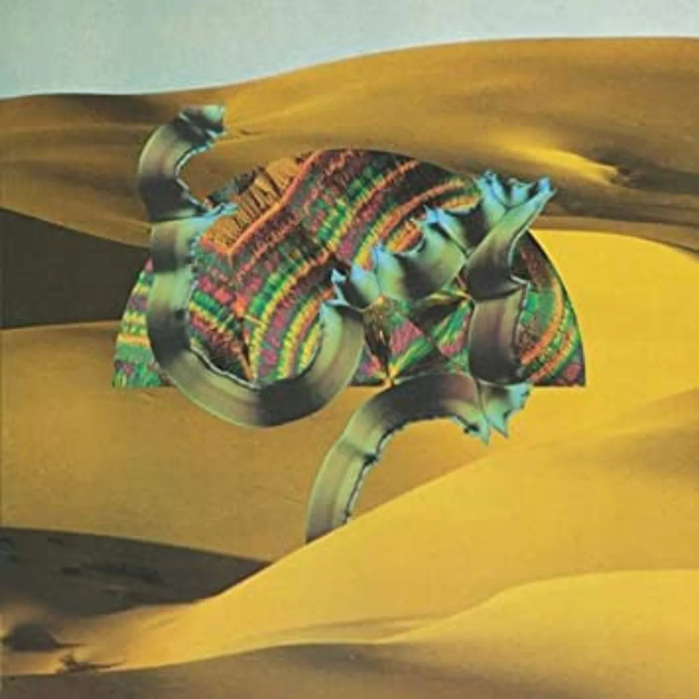 Django Django vinyl record