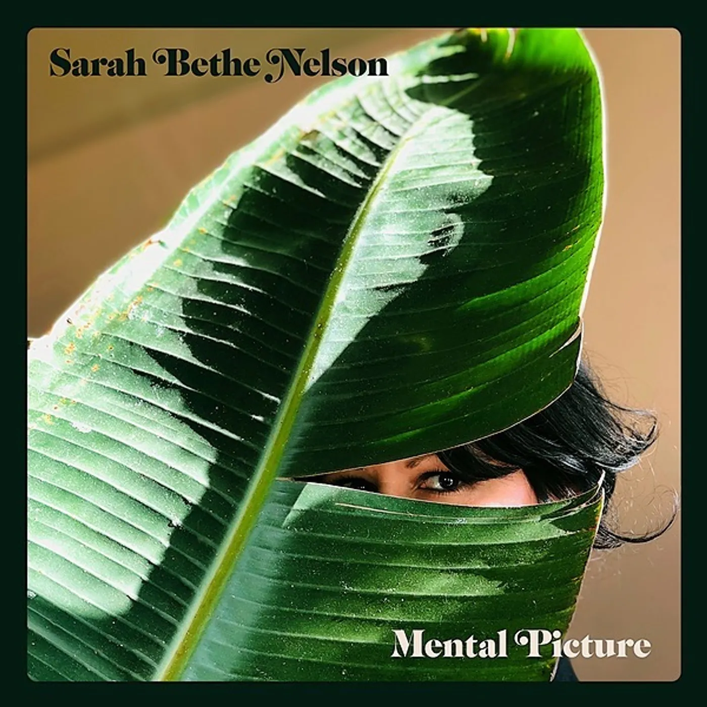 Sarah Bethe Nelson Mental Picture vinyl record