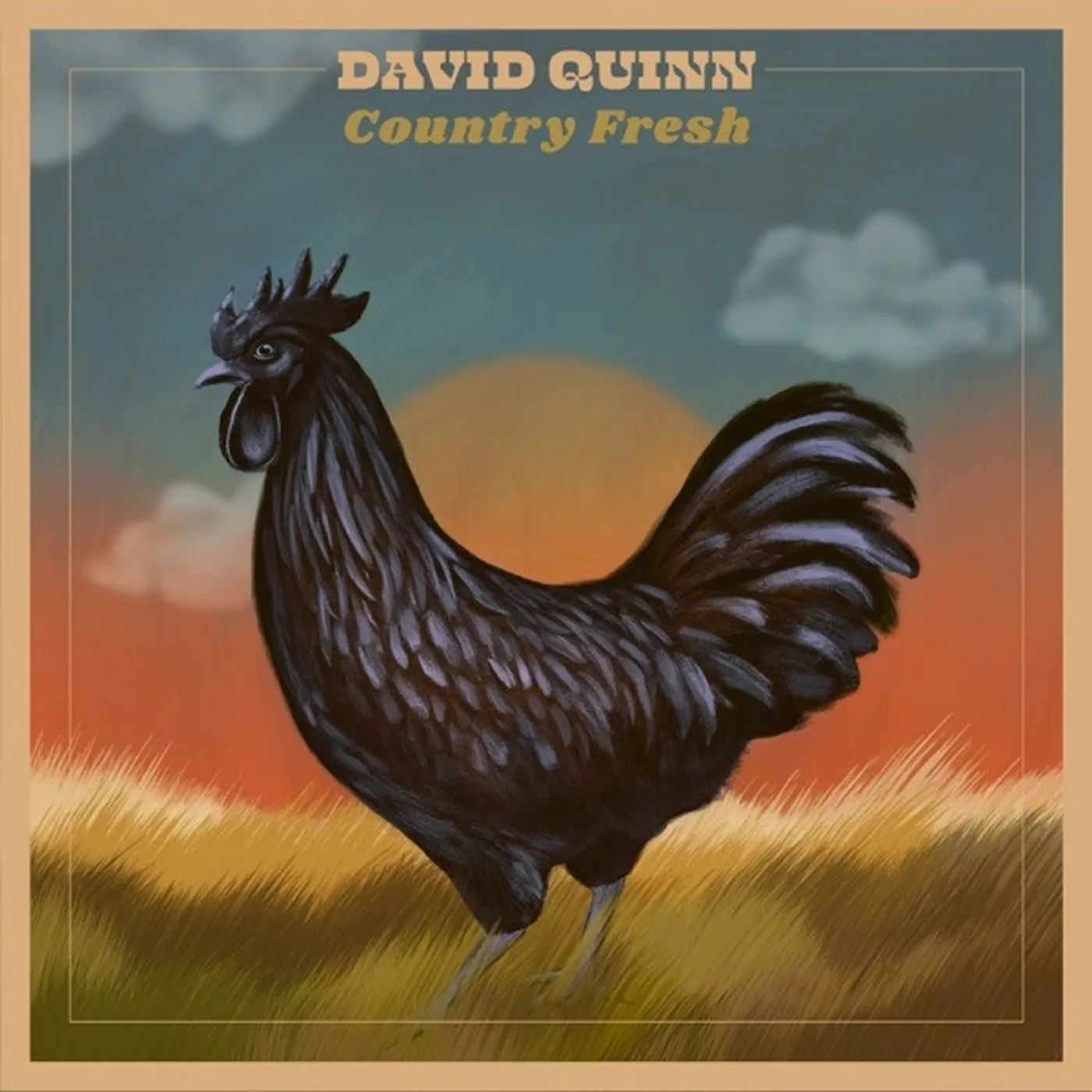 David Quinn Country Fresh Vinyl Record