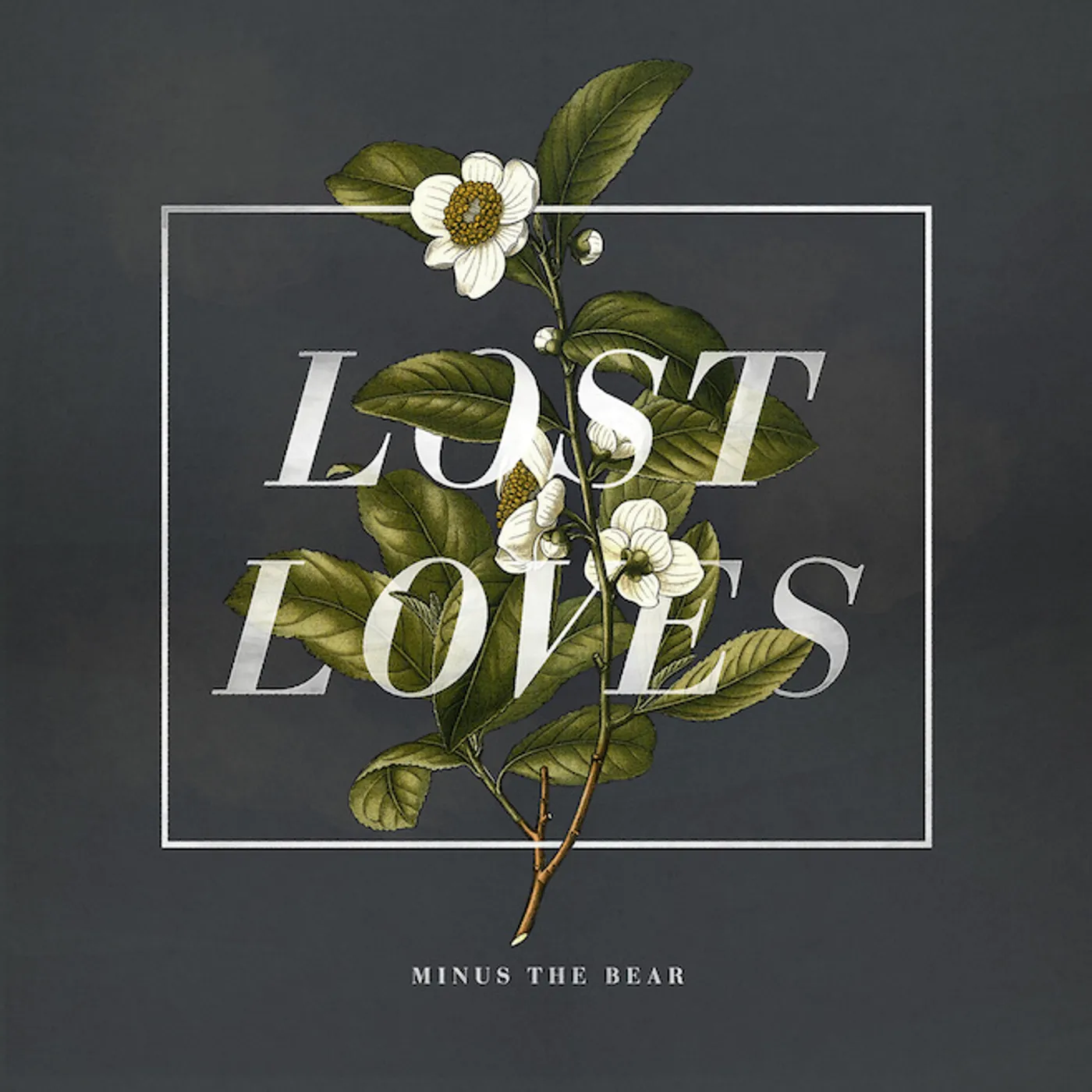 Minus the Bear Lost Loves Vinyl Record