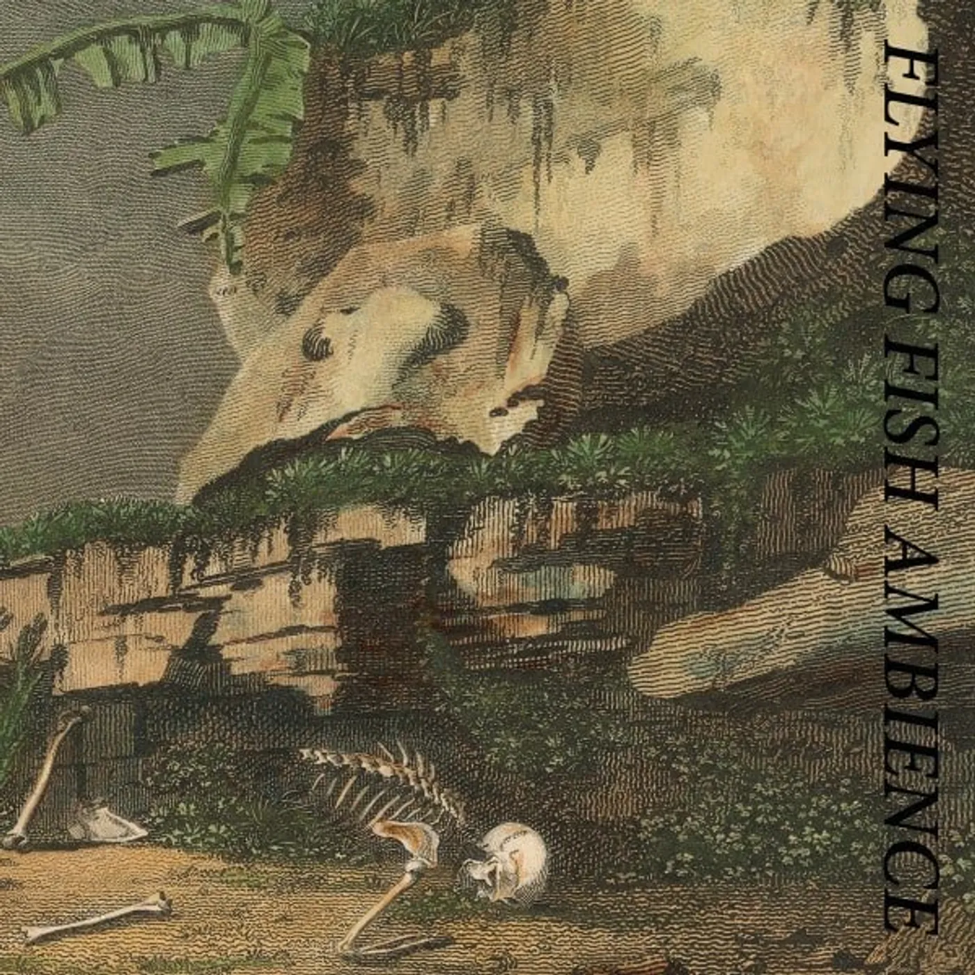 Rainforest Spiritual Enslavement Flying Fish Ambience Vinyl Record