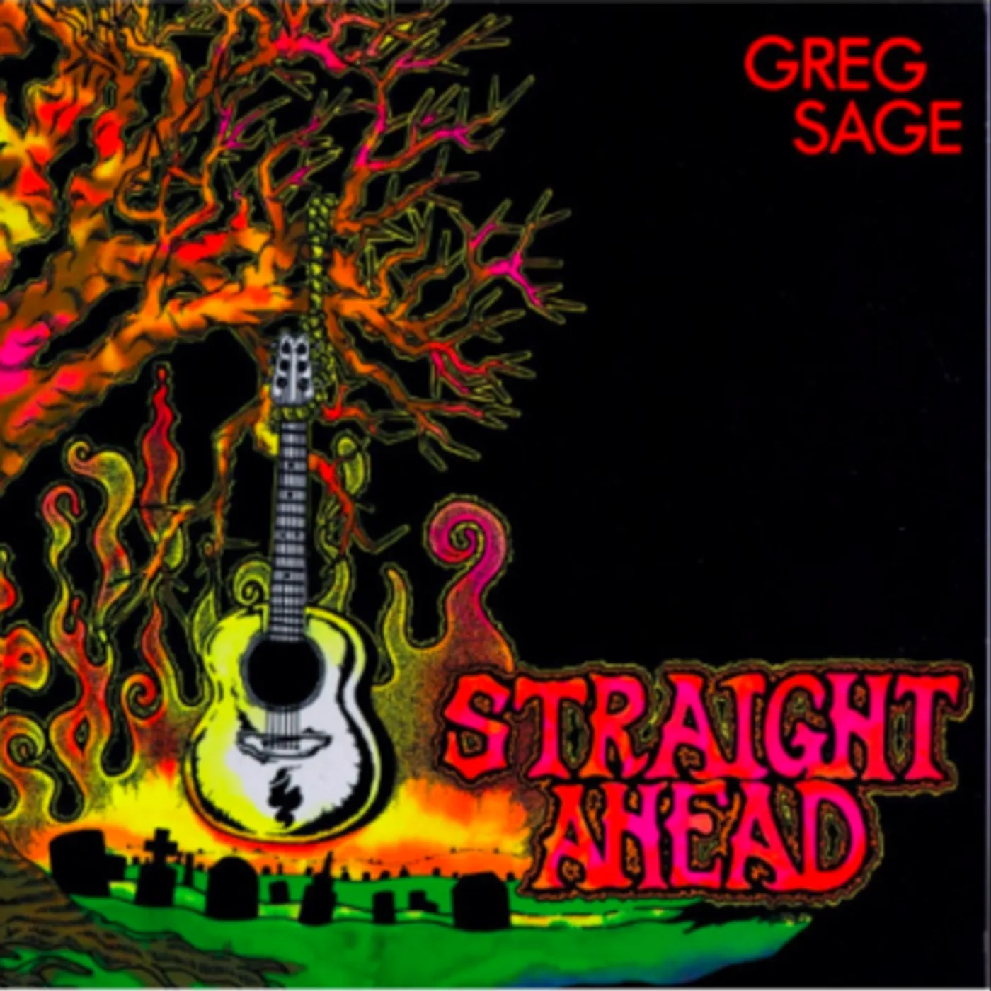 Greg Sage Straight Ahead vinyl record