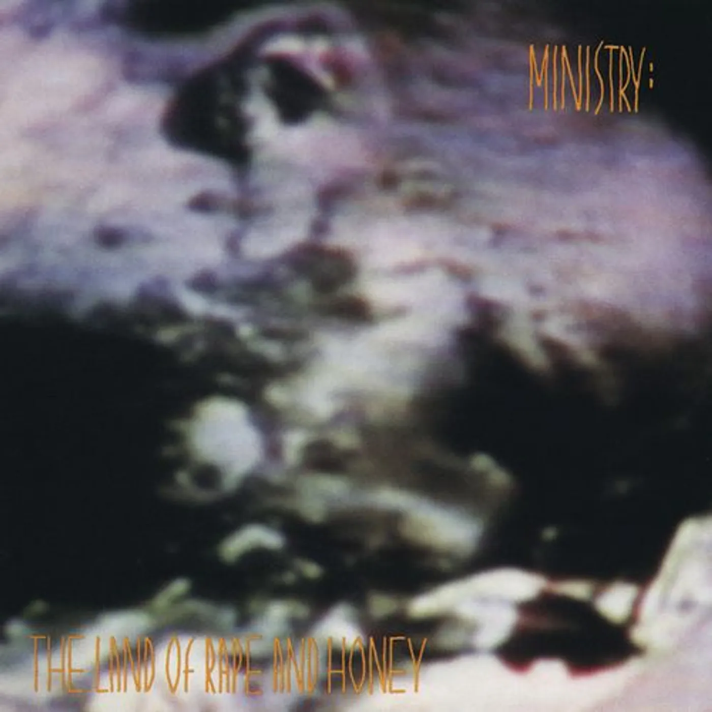 Ministry LAND OF RAPE & HONEY (180G) Vinyl Record