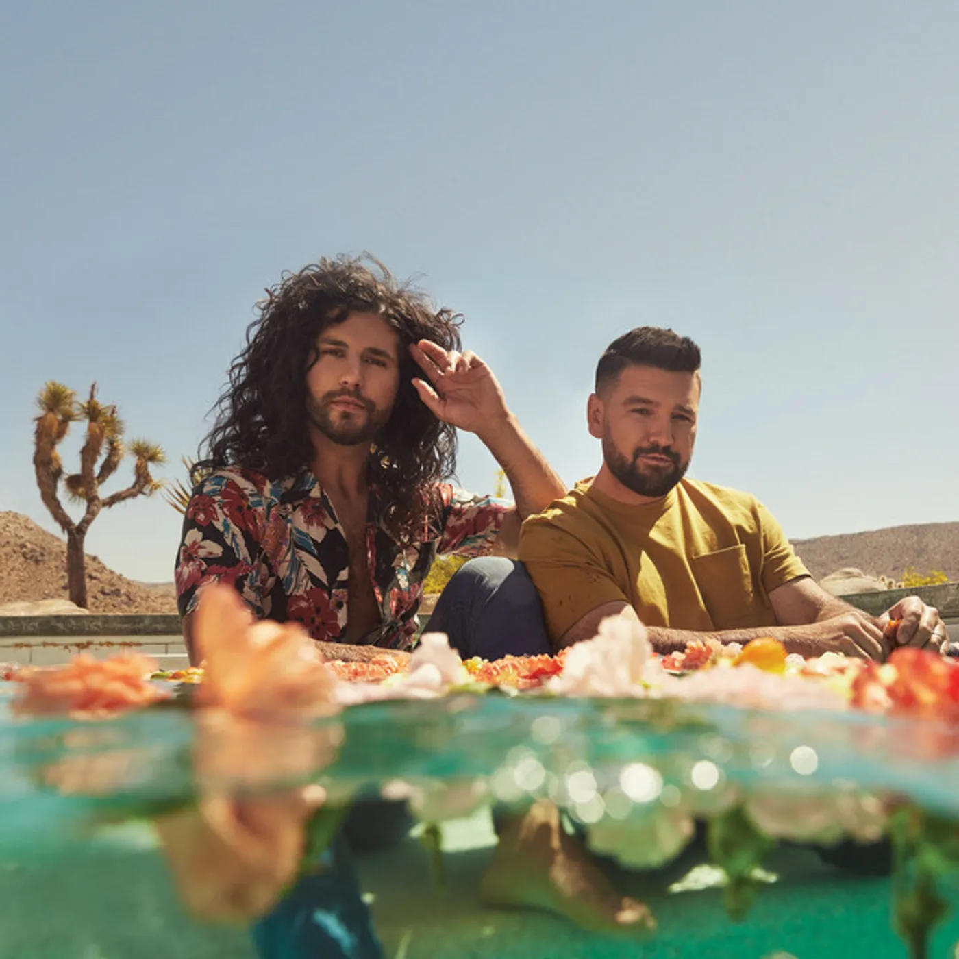 Dan + Shay GOOD THINGS CD