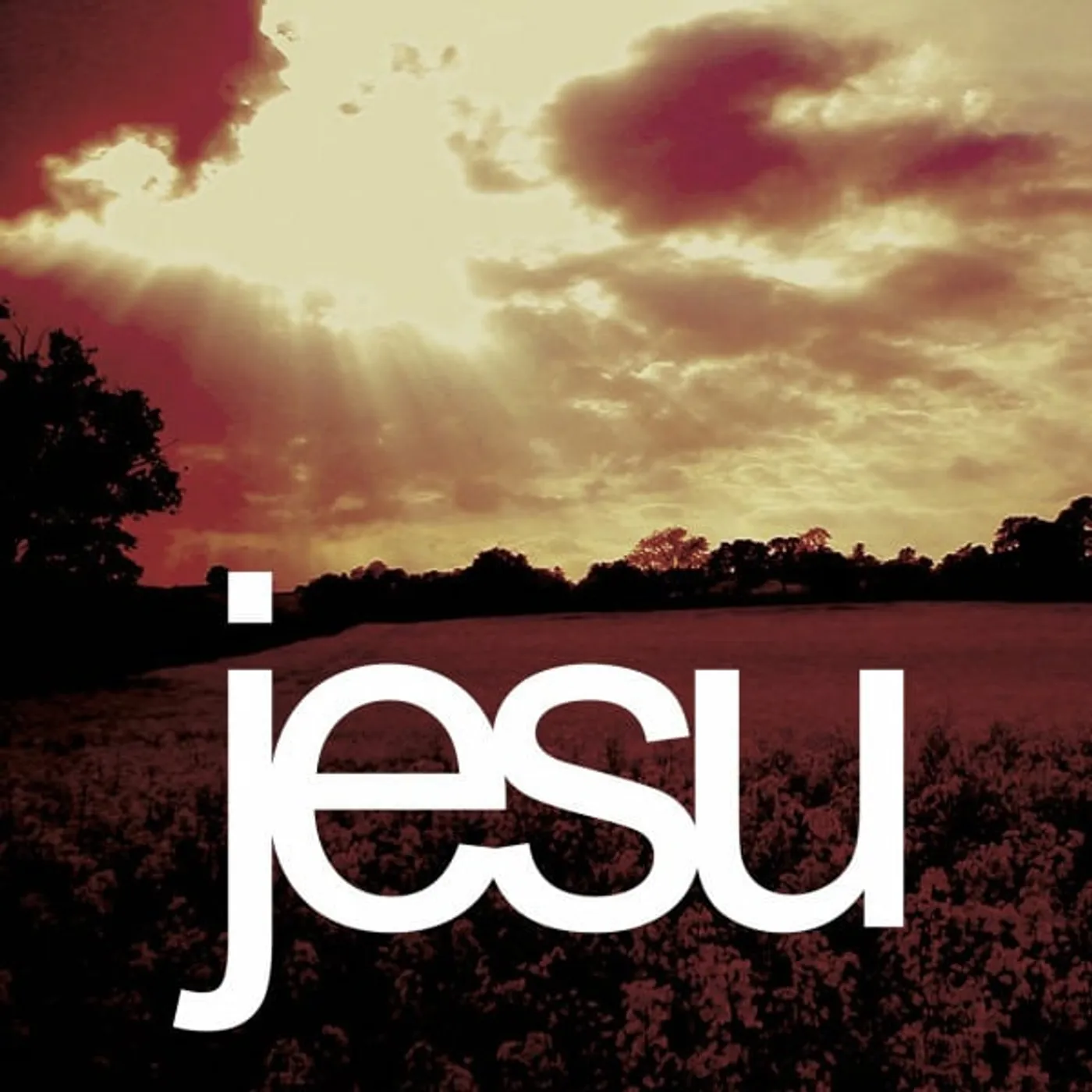 Jesu Heart Ache (DELUXE/2LP/RED/GOLD VINYL) Vinyl Record