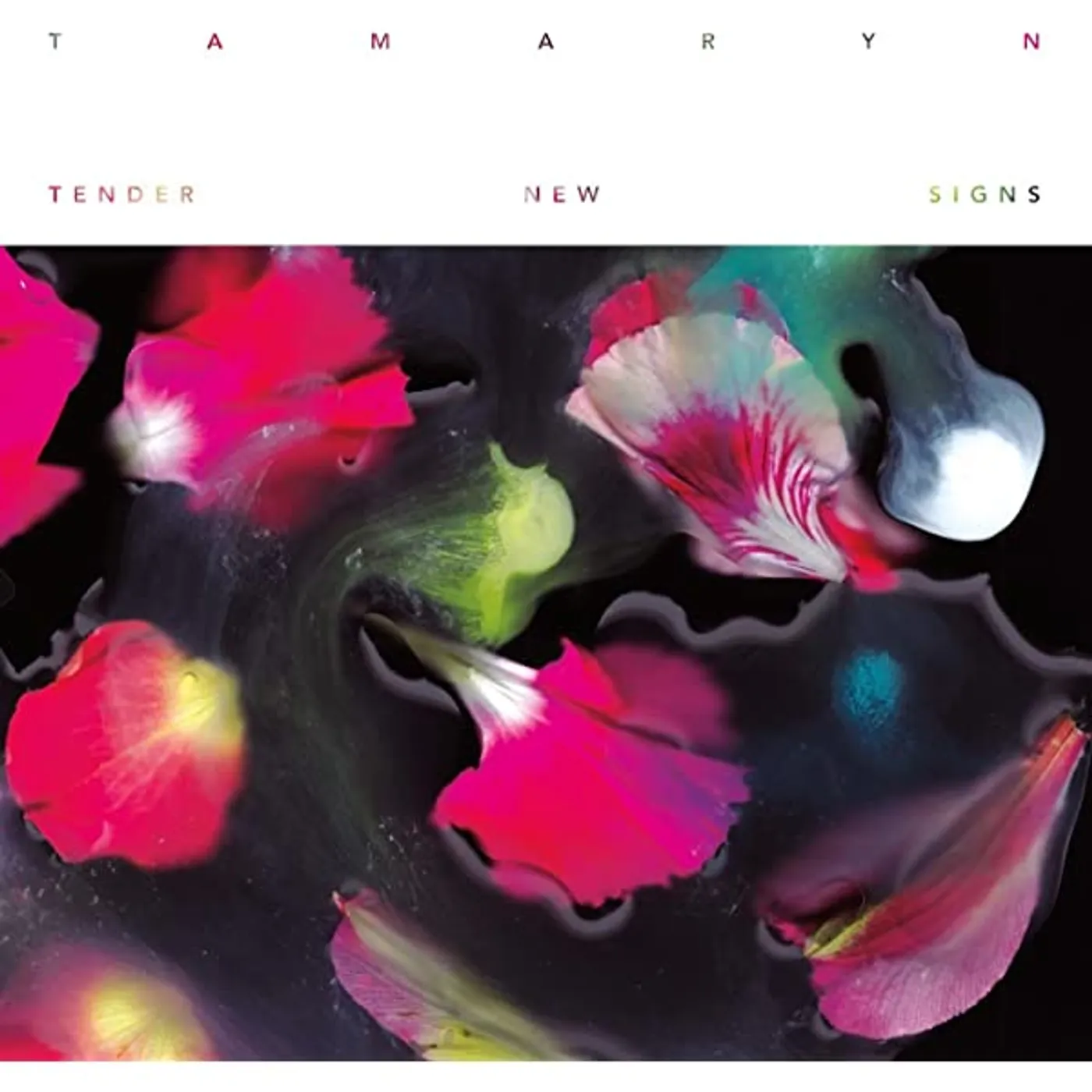 Tamaryn Tender New Signs Vinyl Record