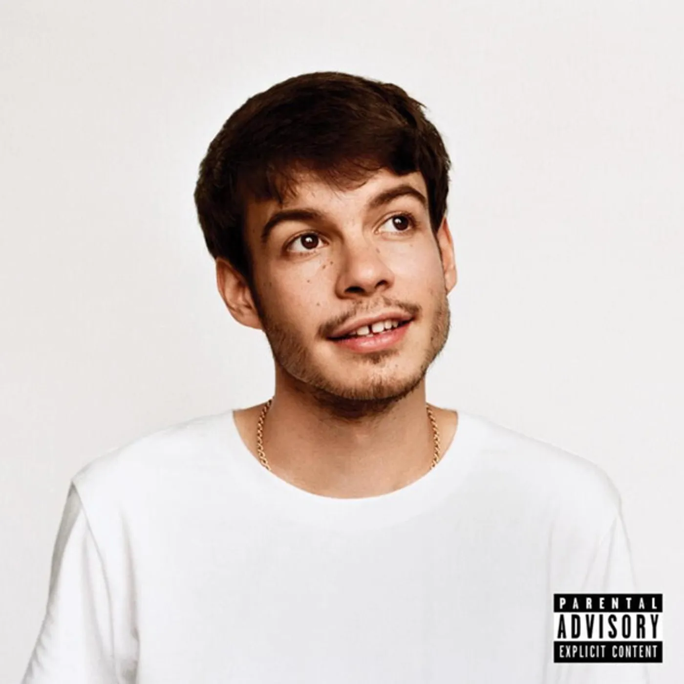 Rex Orange County Pony (PA) (140g/ DL Insert) Vinyl Record