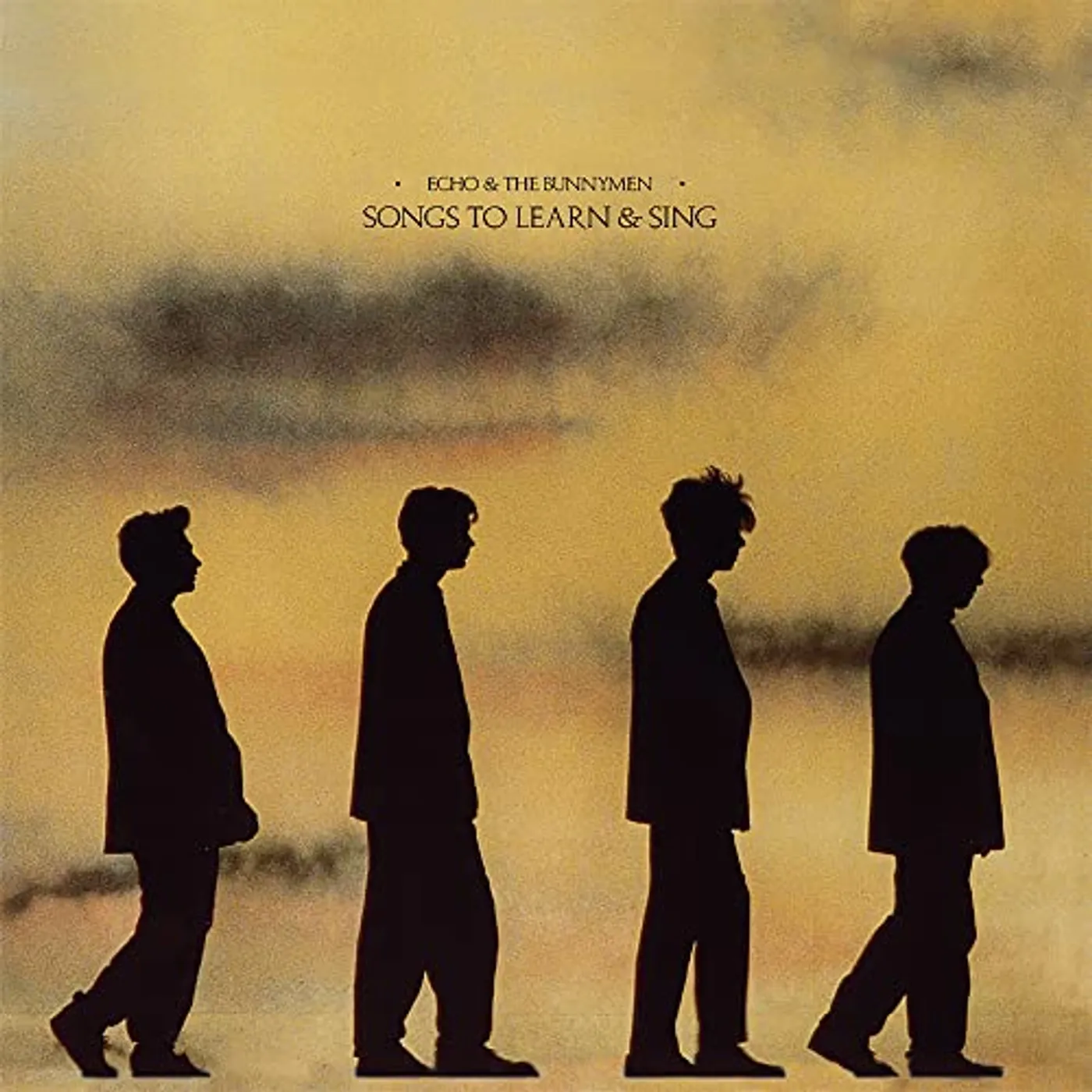 Echo & the Bunnymen Songs to Learn & Sing (2022) Vinyl Record