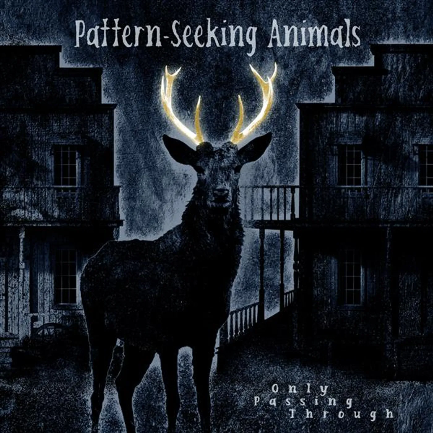 Pattern-Seeking Animals ONLY PASSING THROUGH (2LP/CD) Vinyl Record