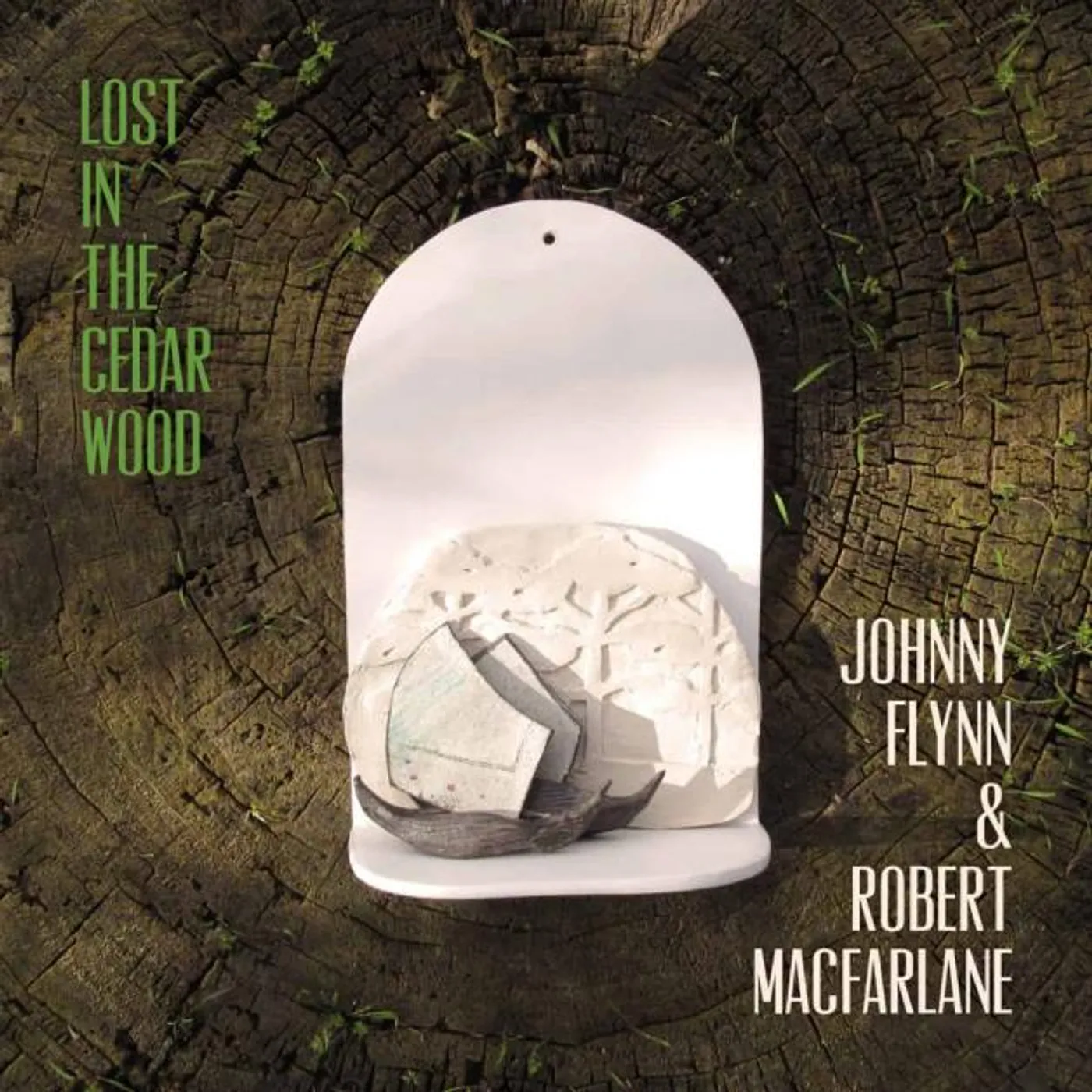 Johnny Flynn LOST IN THE CEDAR WOOD CD