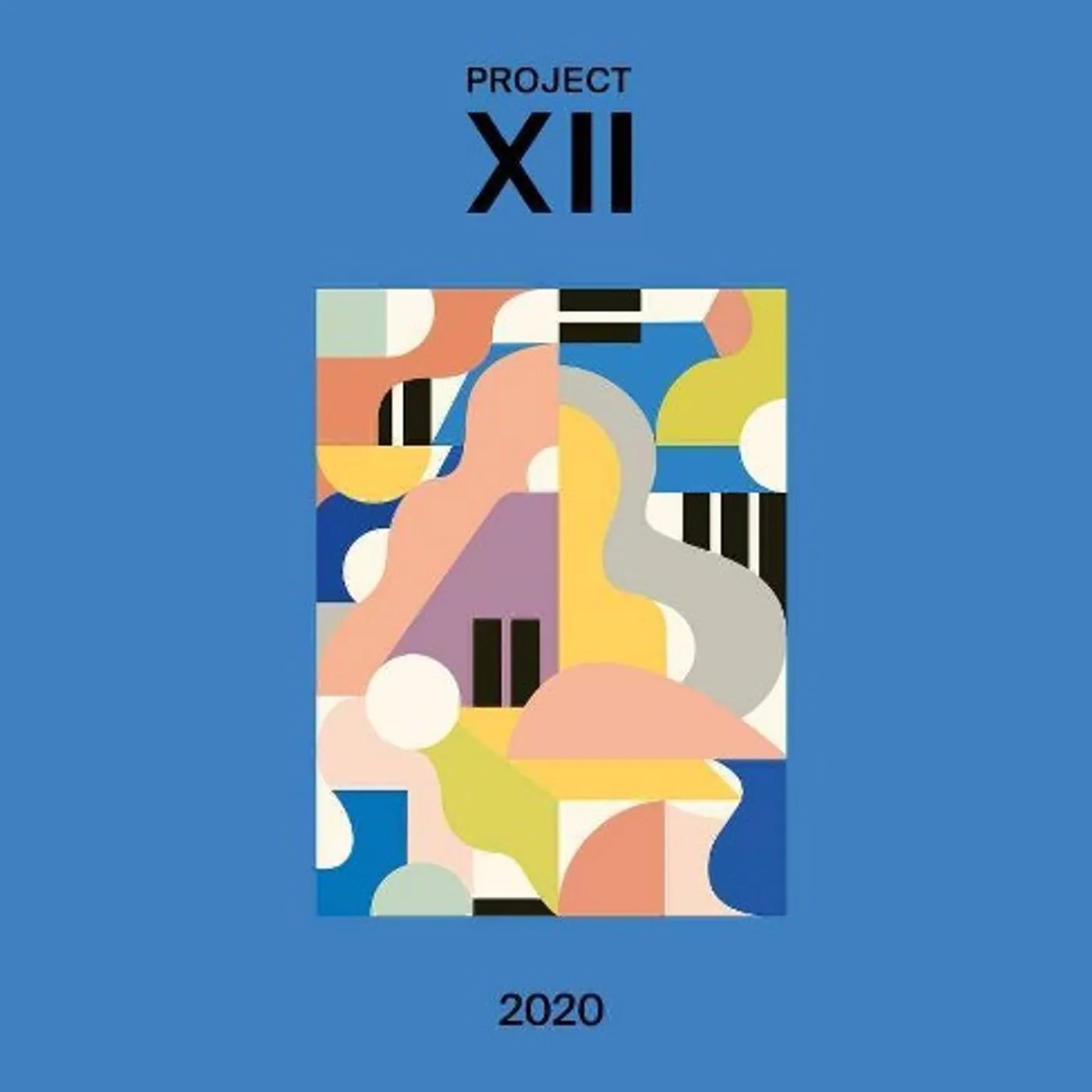 Various Artists  XII 2020 Vinyl Record