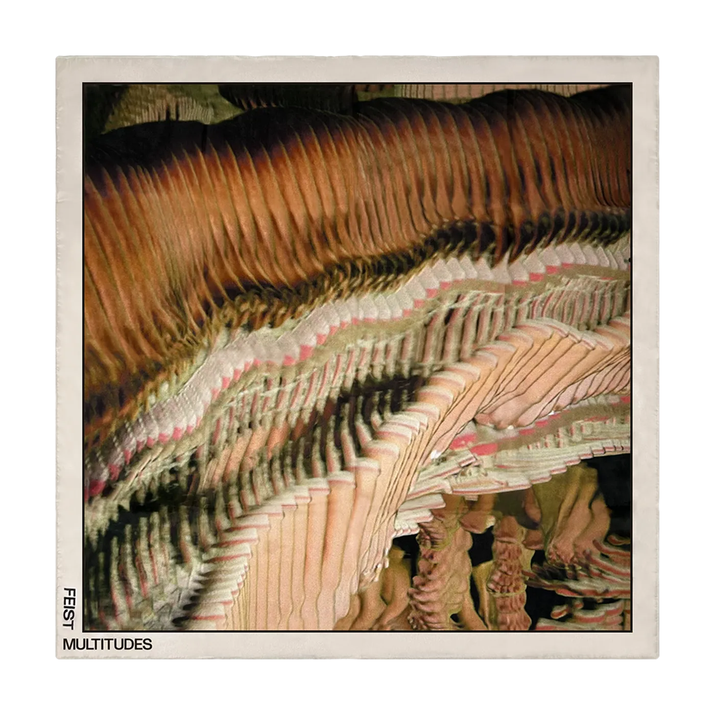 Feist Multitudes Photo Silk Scarf