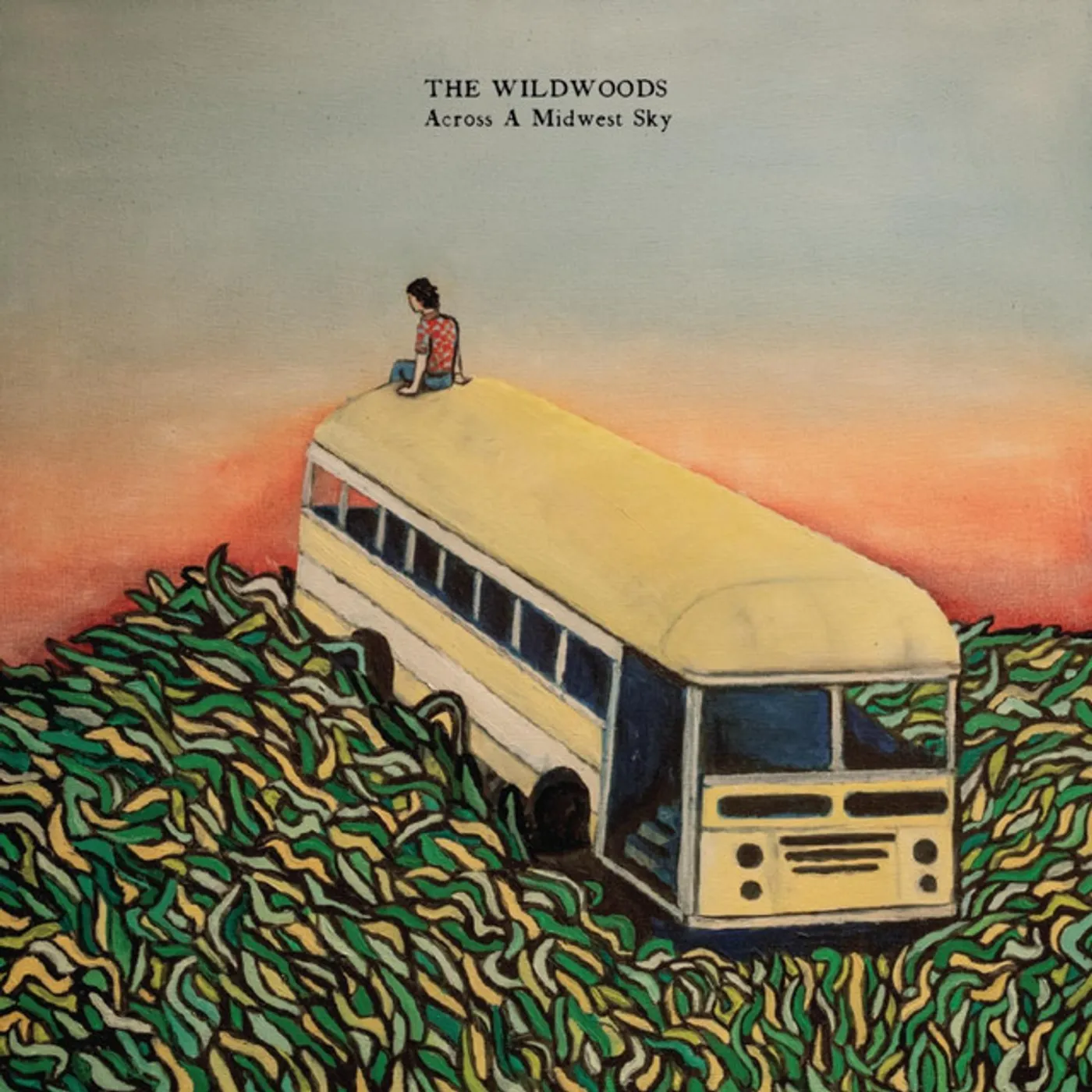 The Wildwoods Across a Midwest Sky Vinyl Record