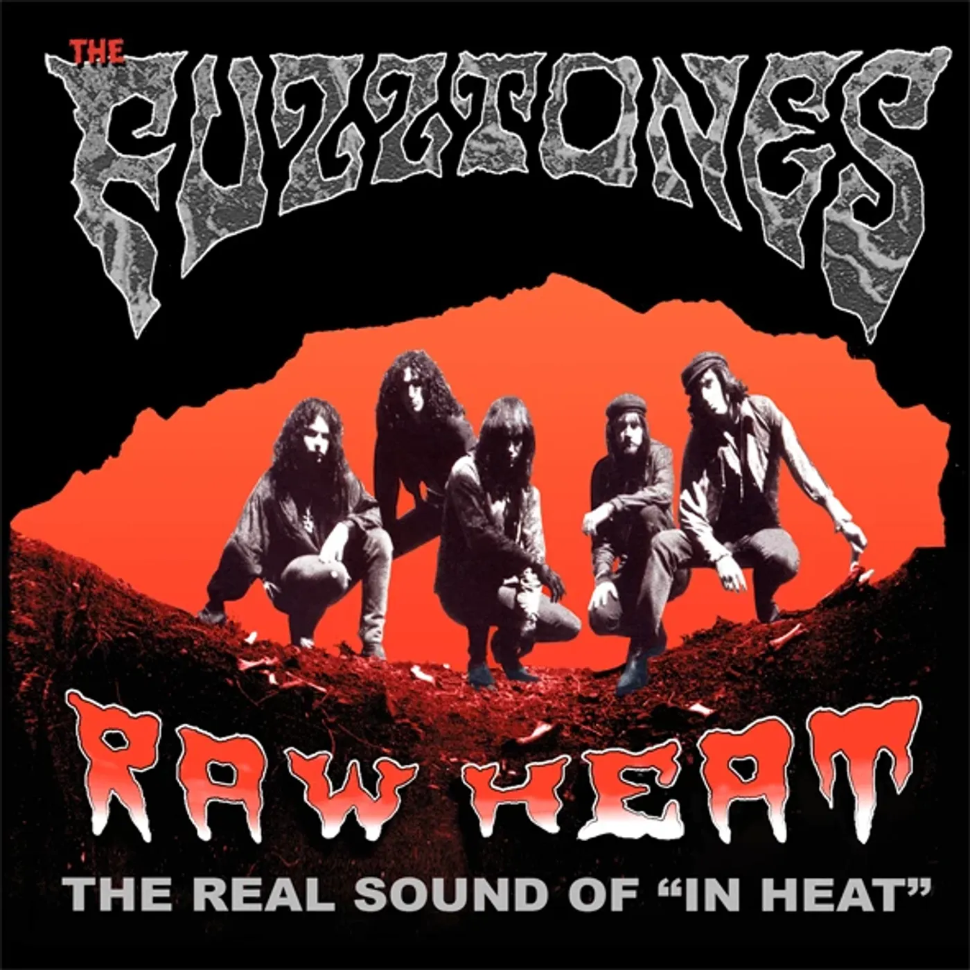 The Fuzztones RAW HEAT: THE REAL SOUND OF IN HEAT Vinyl Record