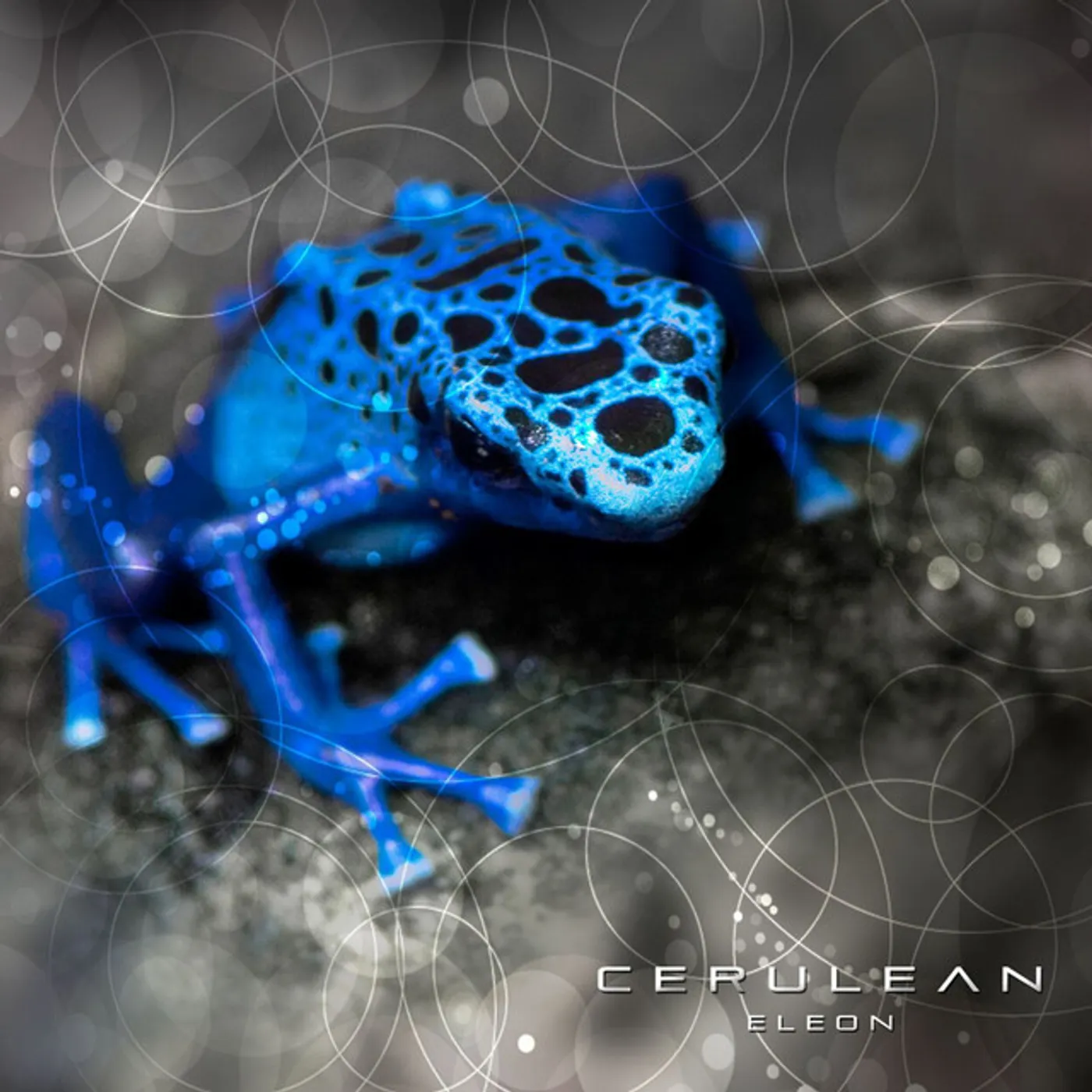 ELEON CERULEAN CD