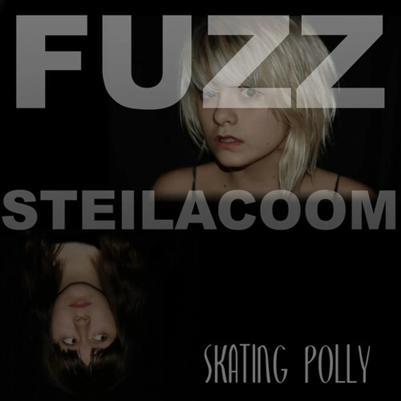 Skating Polly Fuzz Steilacoom Vinyl Record