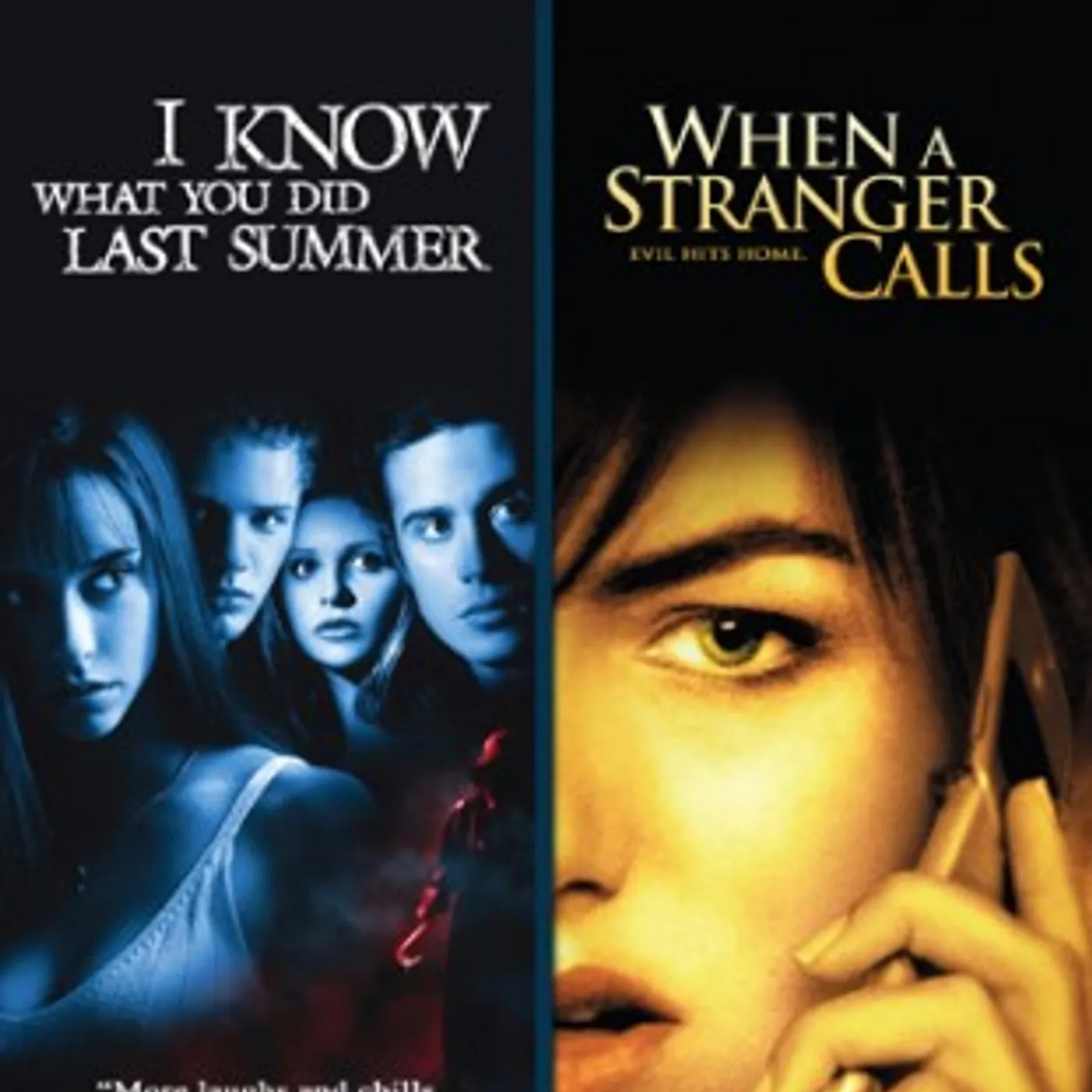 I KNOW WHAT YOU DID LAST SUMMER/WHEN A STRANGER DVD