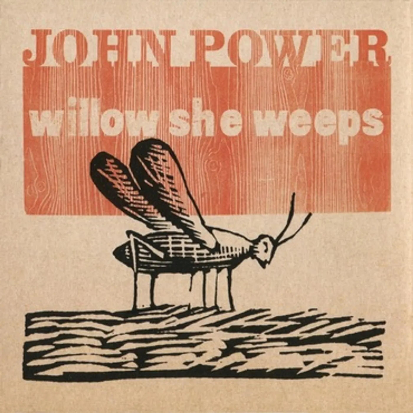 John Power Willow She Weeps Vinyl Record