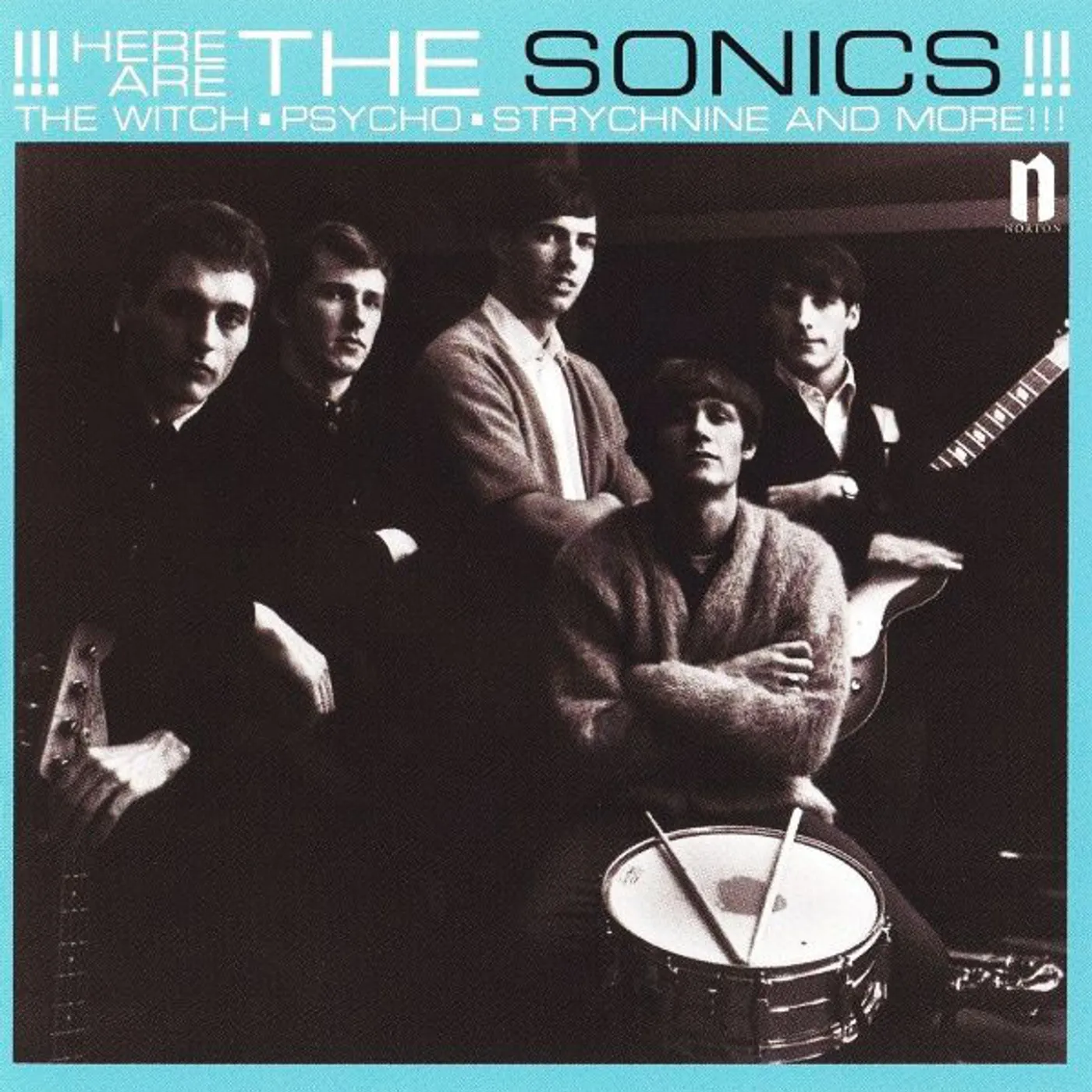 HERE ARE THE SONICS Vinyl Record