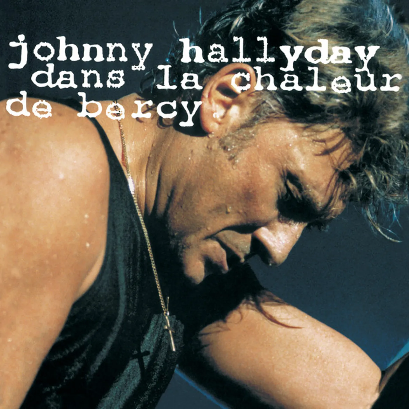 Johnny Hallyday Dans la chaleur de Bercy Vinyl Record