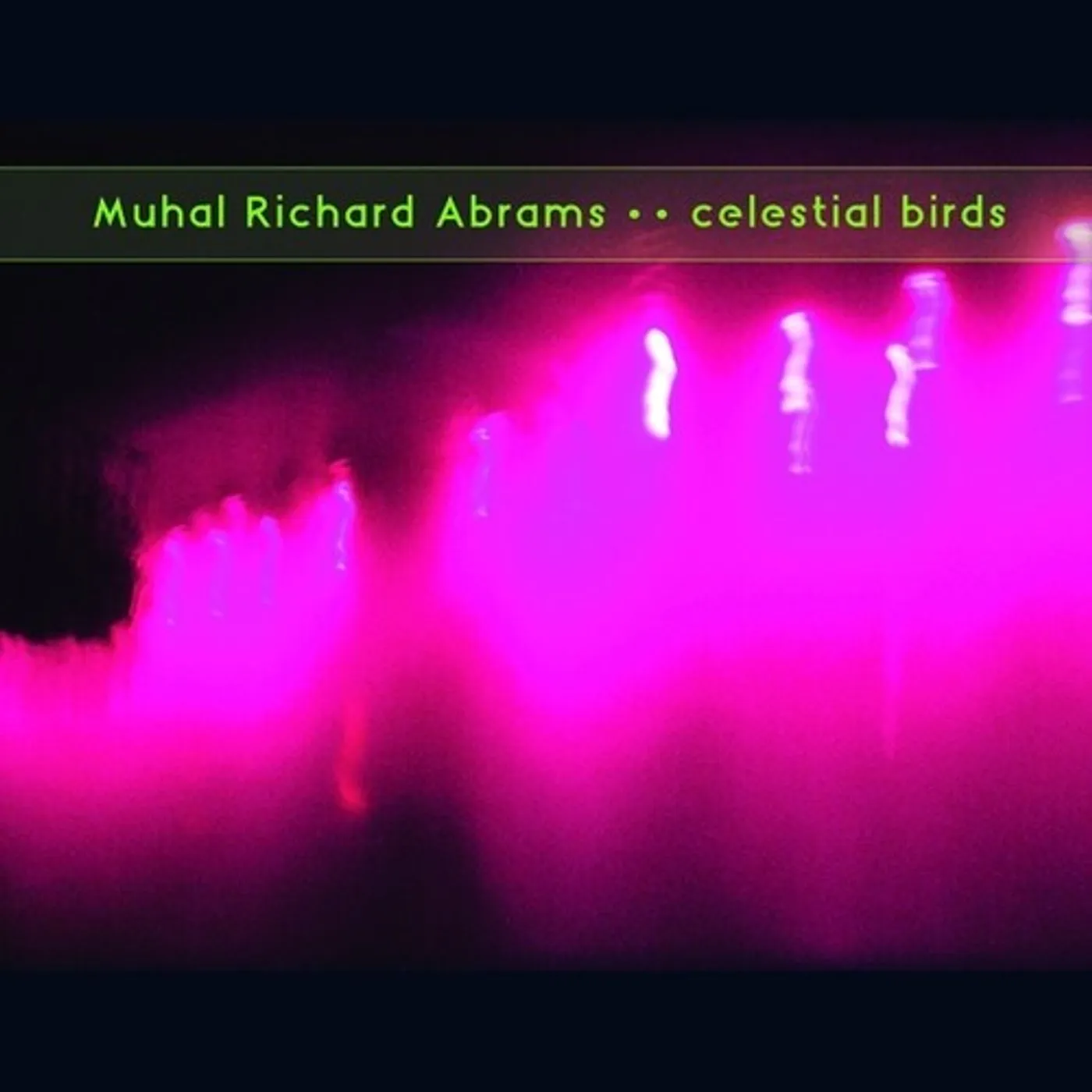 Muhal Richard Abrams Celestial Birds Vinyl Record