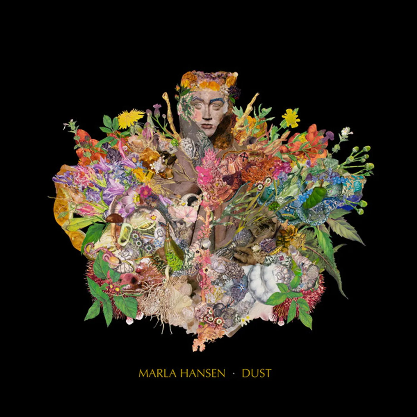 Marla Hansen Dust Vinyl Record