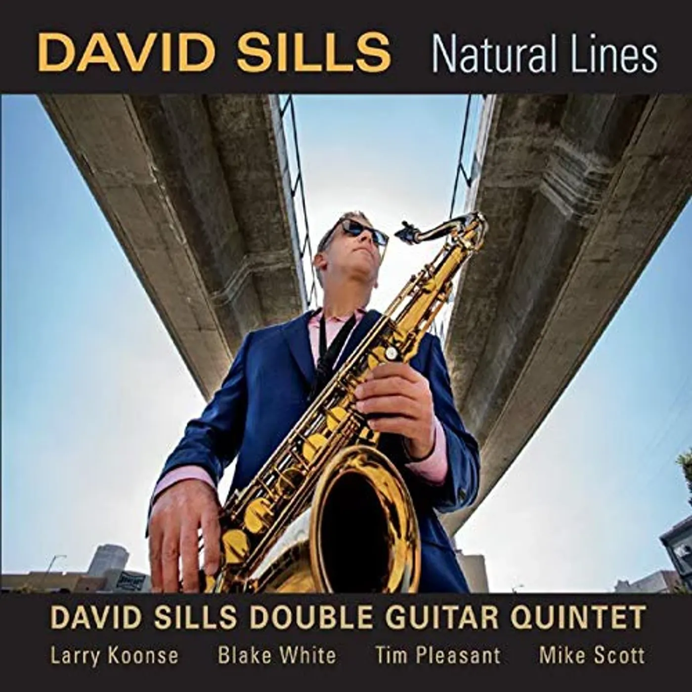 David Sills NATURAL LINES CD