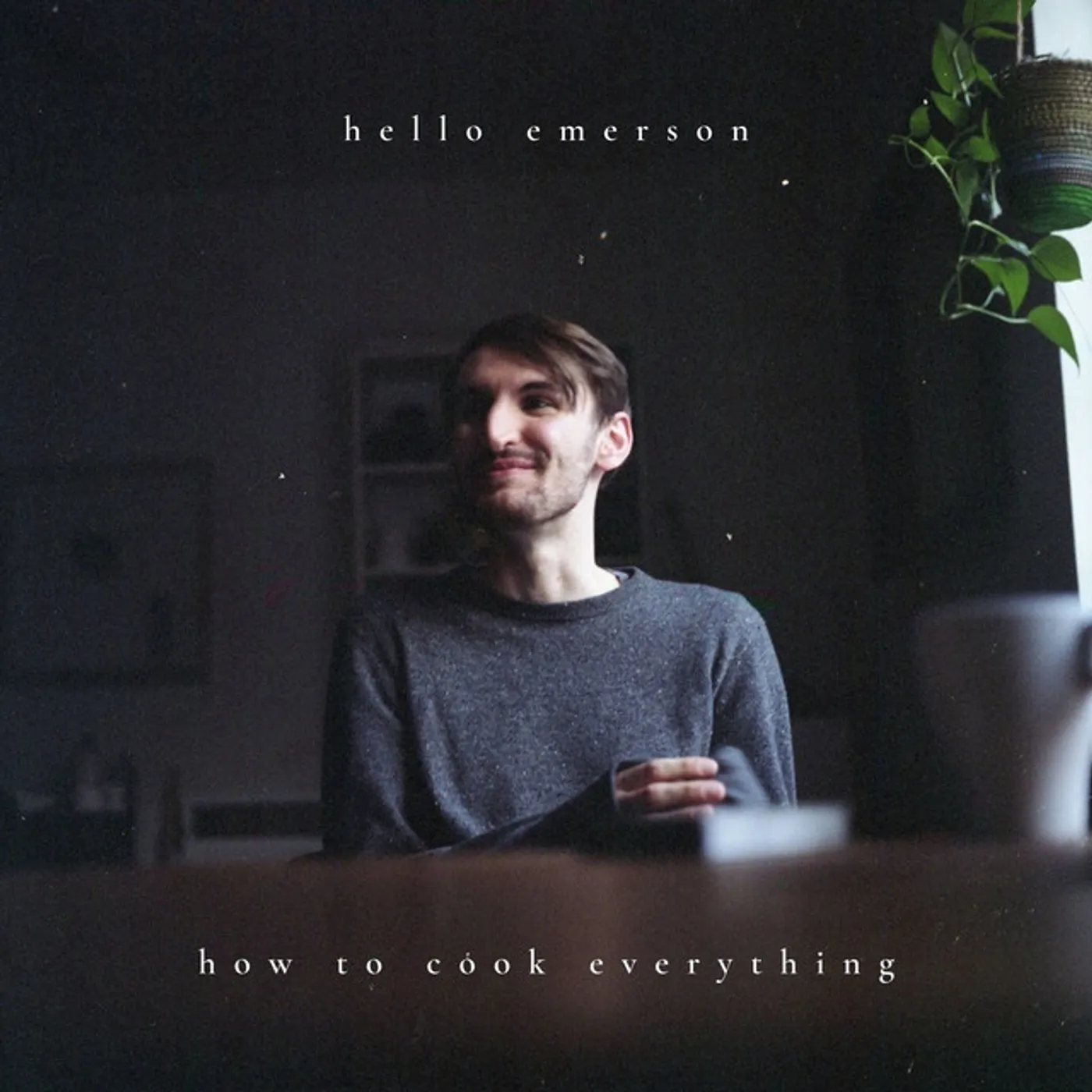 Hello Emerson HOW TO COOK EVERYTHING CD