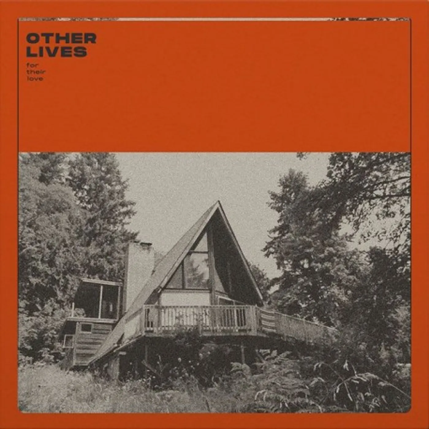 Other Lives For Their Love Vinyl Record
