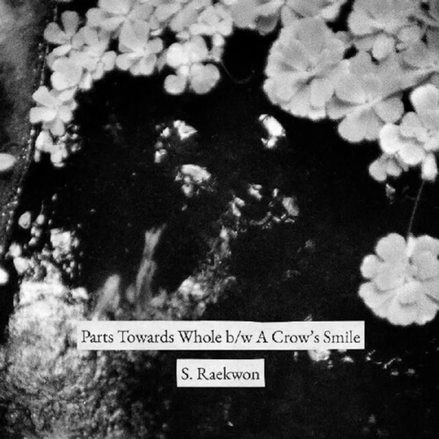 S. Raekwon PARTS TOWARDS WHOLE / A CROWDS SMILE Vinyl Record
