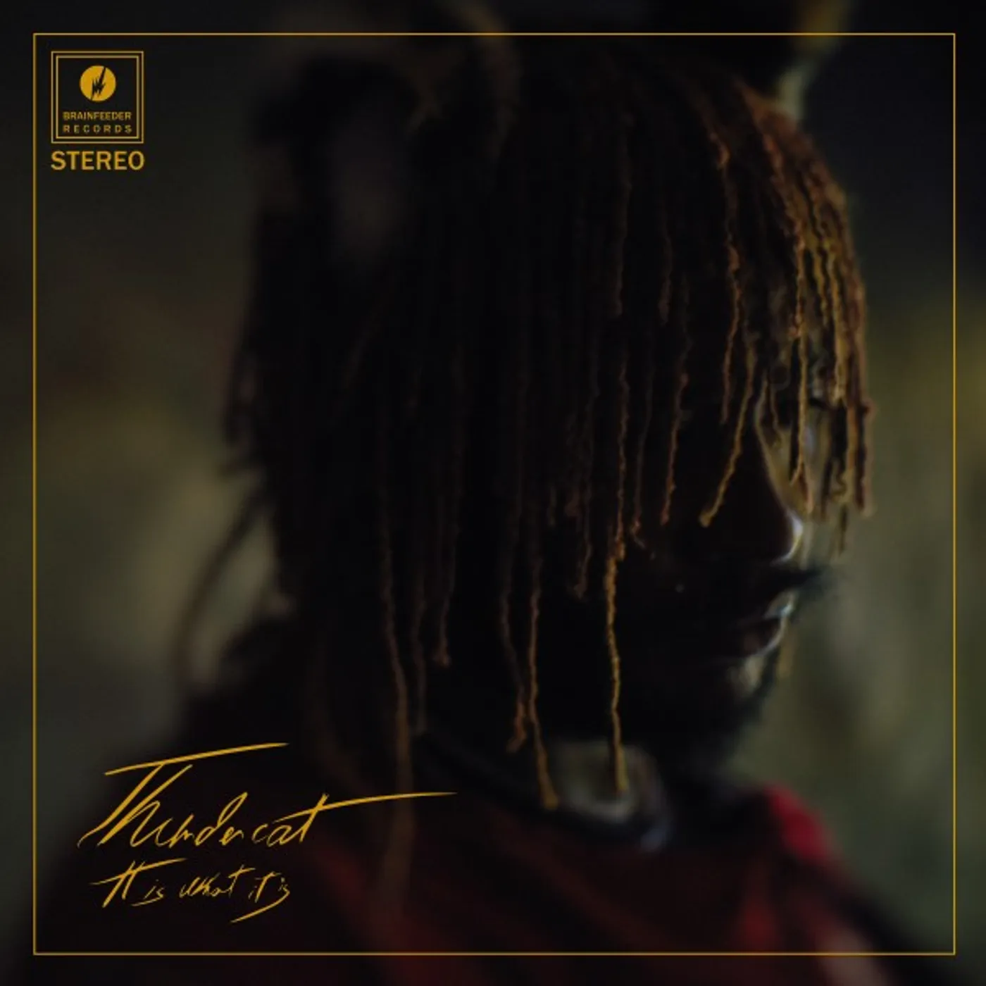 Thundercat It Is What It Is Vinyl Record