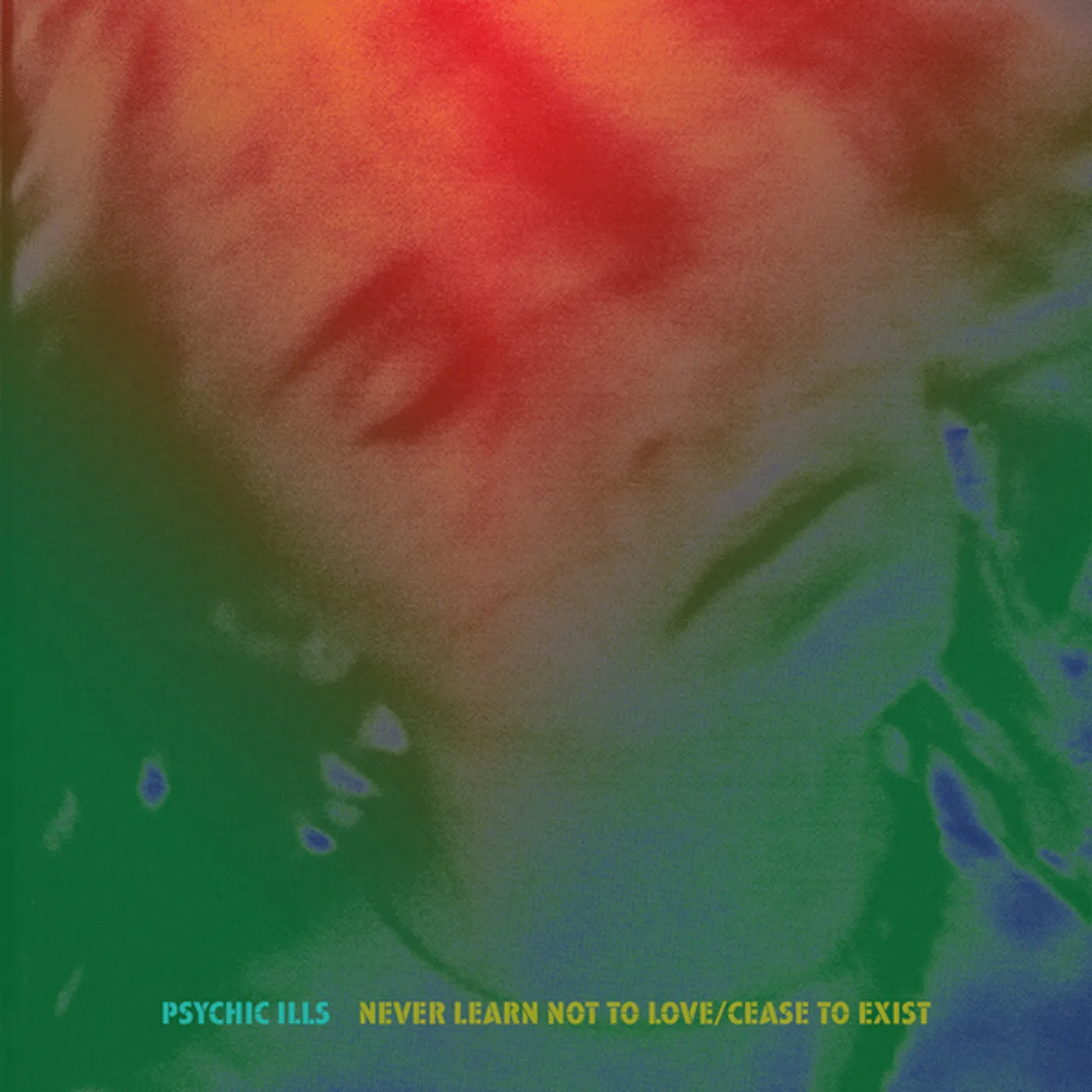 Psychic Ills Never Learn Not to Love / Cease to Exist Vinyl Record