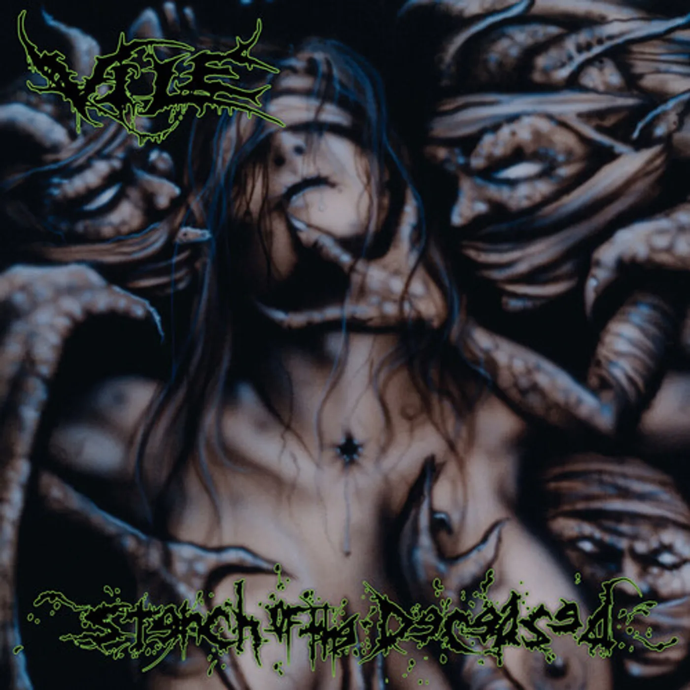 Vile Stench Of The Deceased Vinyl Record