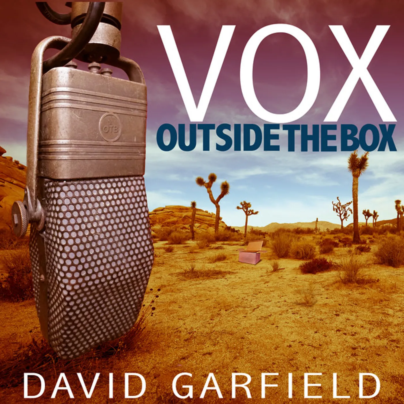 David Garfield VOX OUTSIDE THE BOX CD