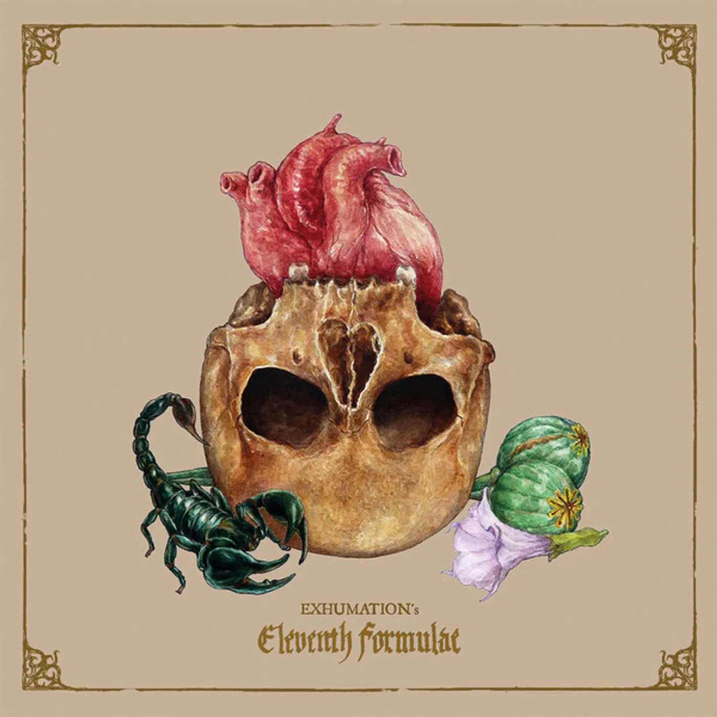Exhumation Eleventh Formulae Vinyl Record