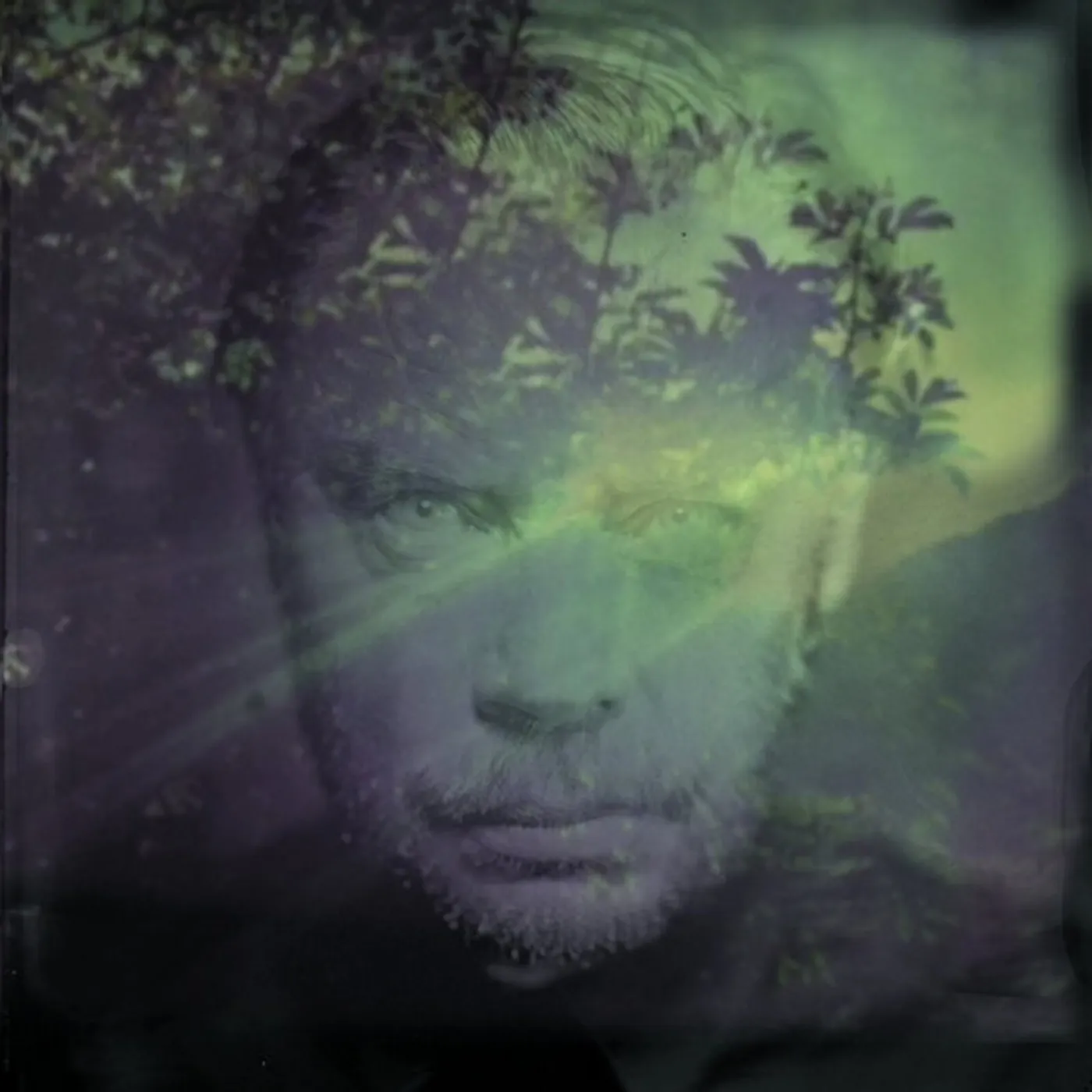 Delaney Davidson SHINING DAY CD