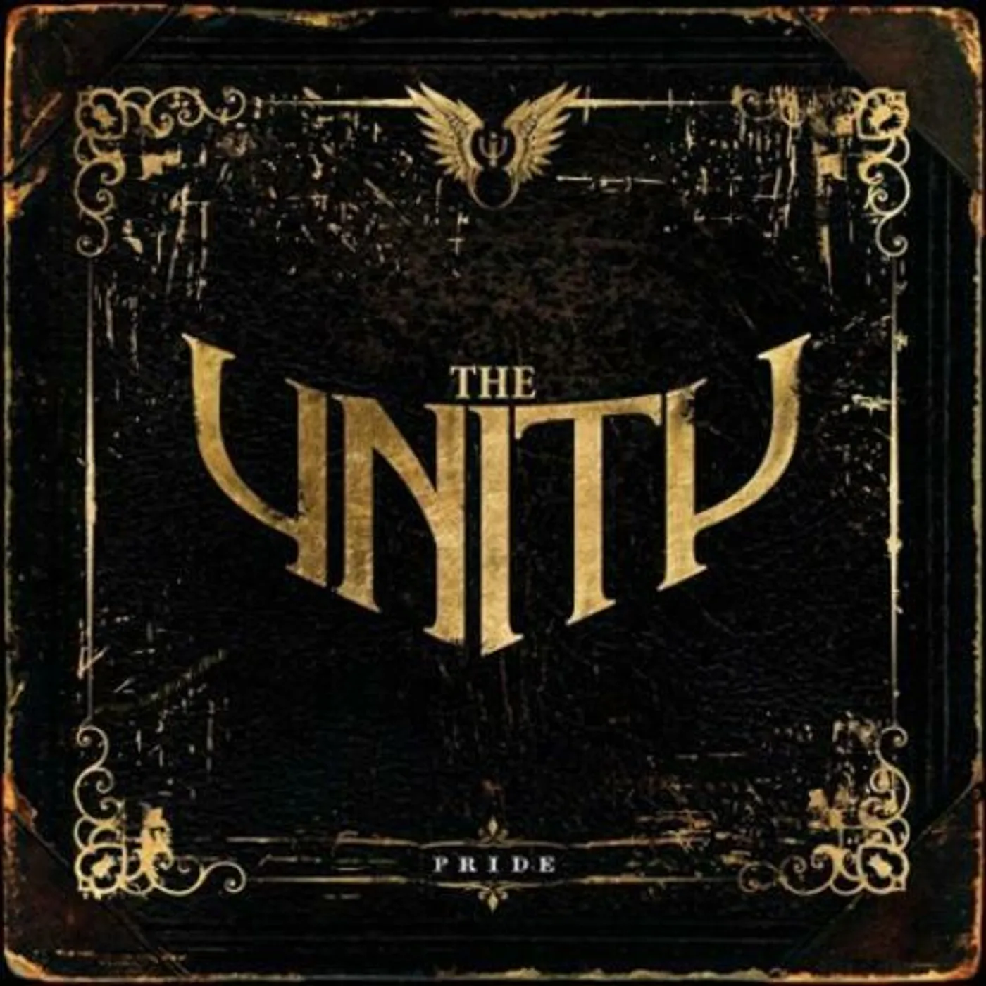 The Unity Pride Vinyl Record