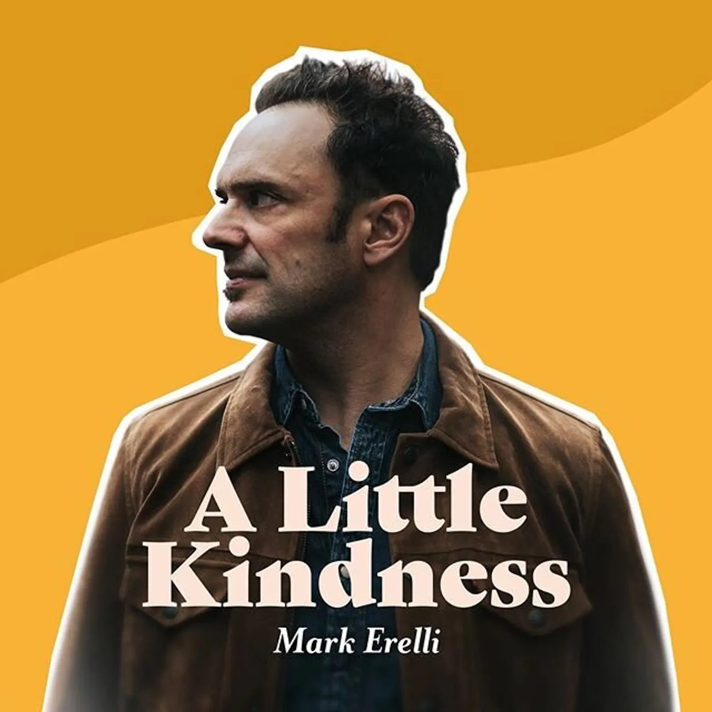 Mark Erelli Blindsided Vinyl Record