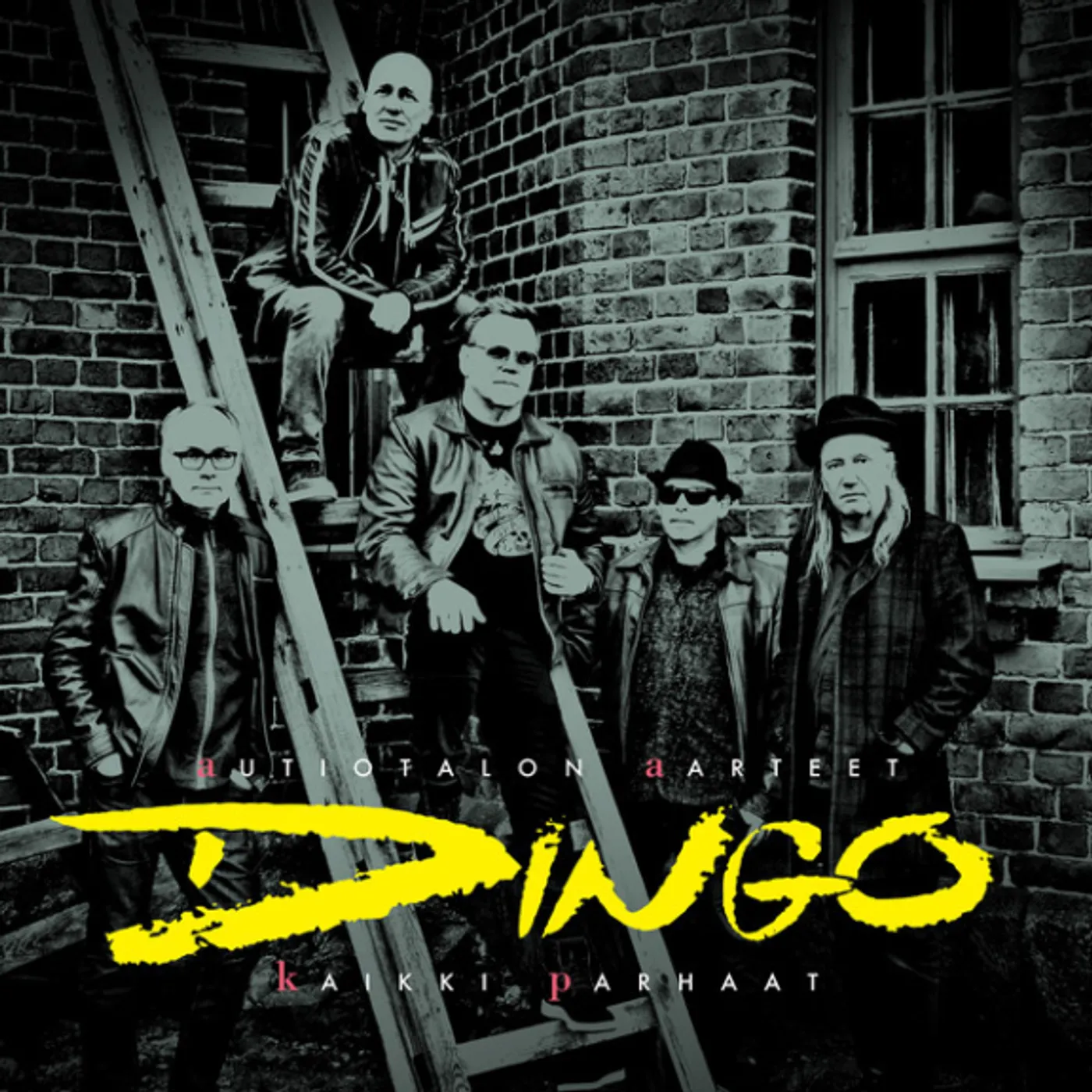 Dingo Autiotalon Aarteet Vinyl Record