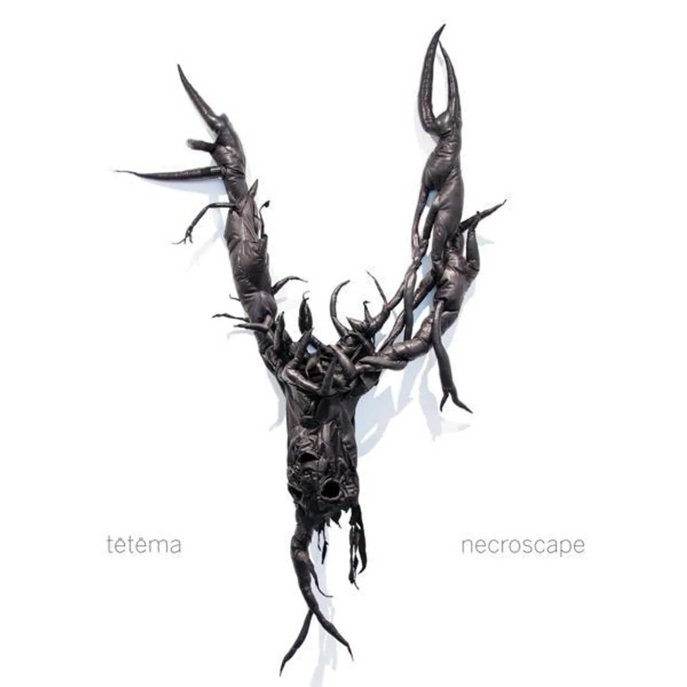 tētēma necroscape Vinyl Record