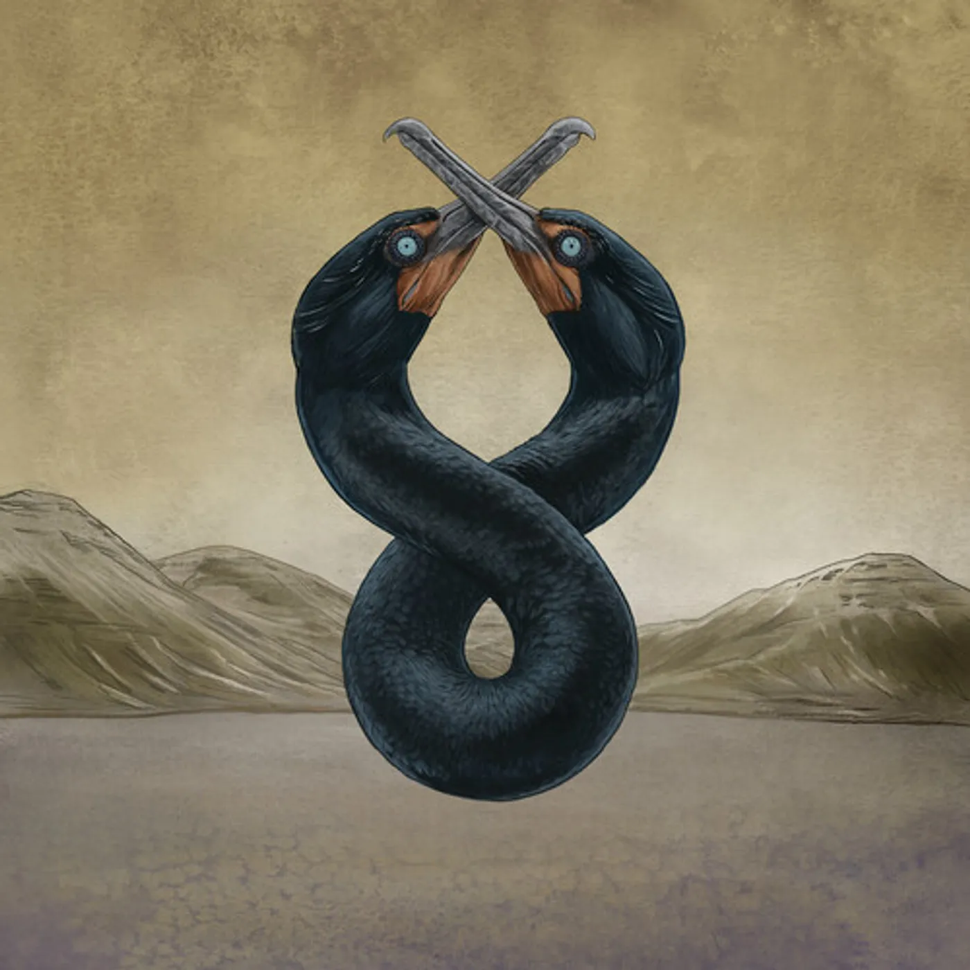 San Fermin CORMORANT I & II Vinyl Record