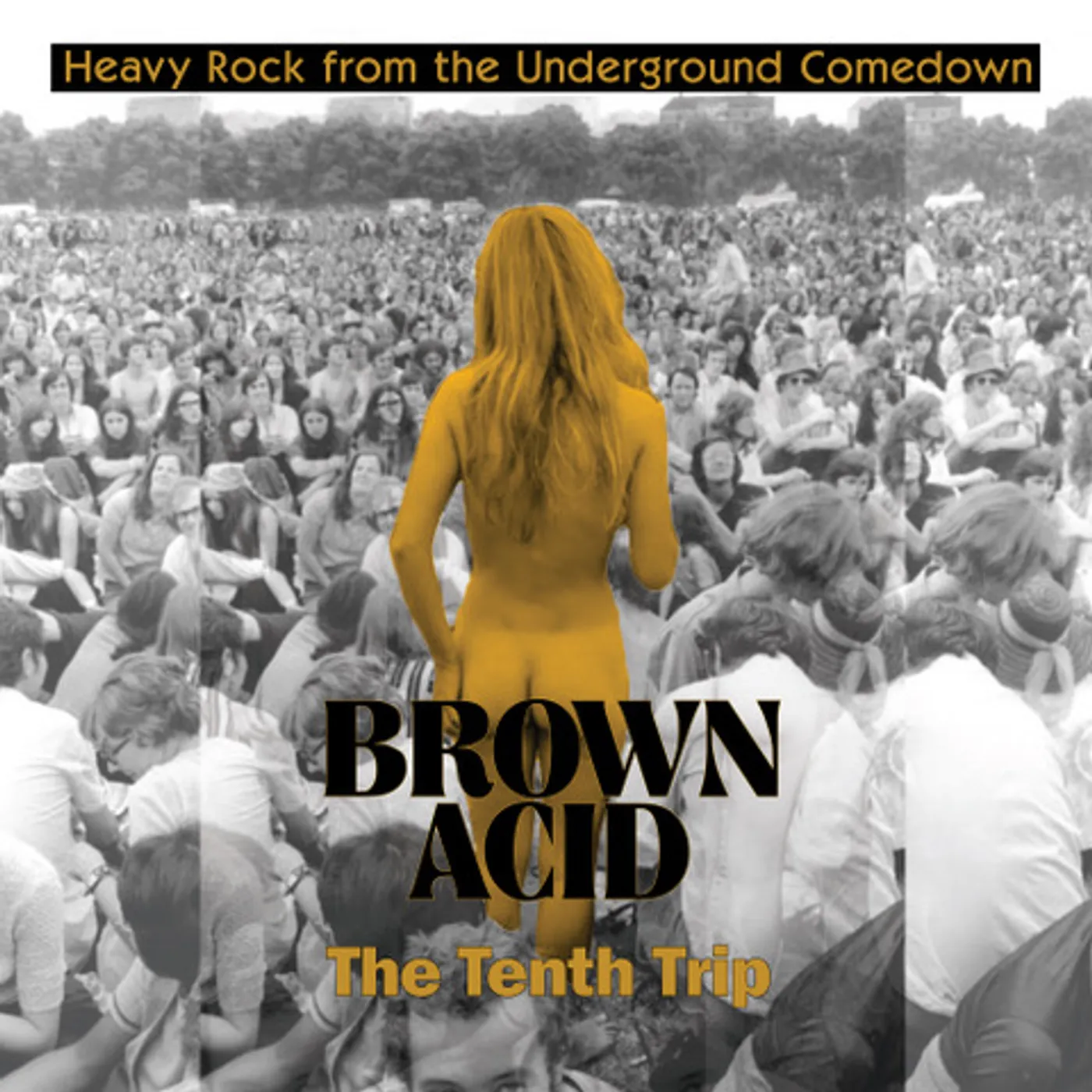 Various Artists  BROWN ACID: THE TENTH TRIP Vinyl Record